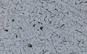 PixelR Image Analysis Cast Iron Analysis