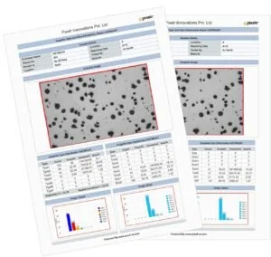 PixelR Image Analysis Cast Iron Analysis
