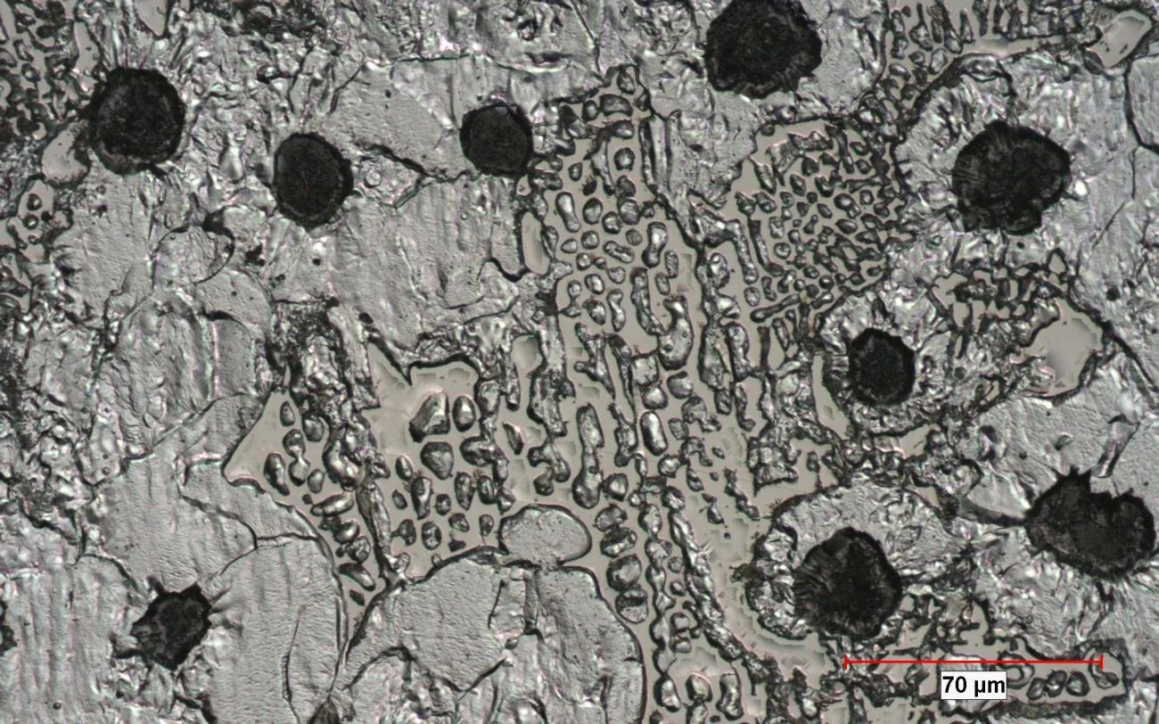 PixelR Image Analysis Grain Size Module SGIronFerriteSteadite500x