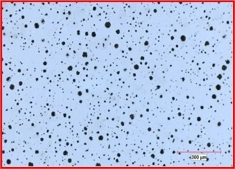 PixelR Image Analysis Cast Iron Analysis