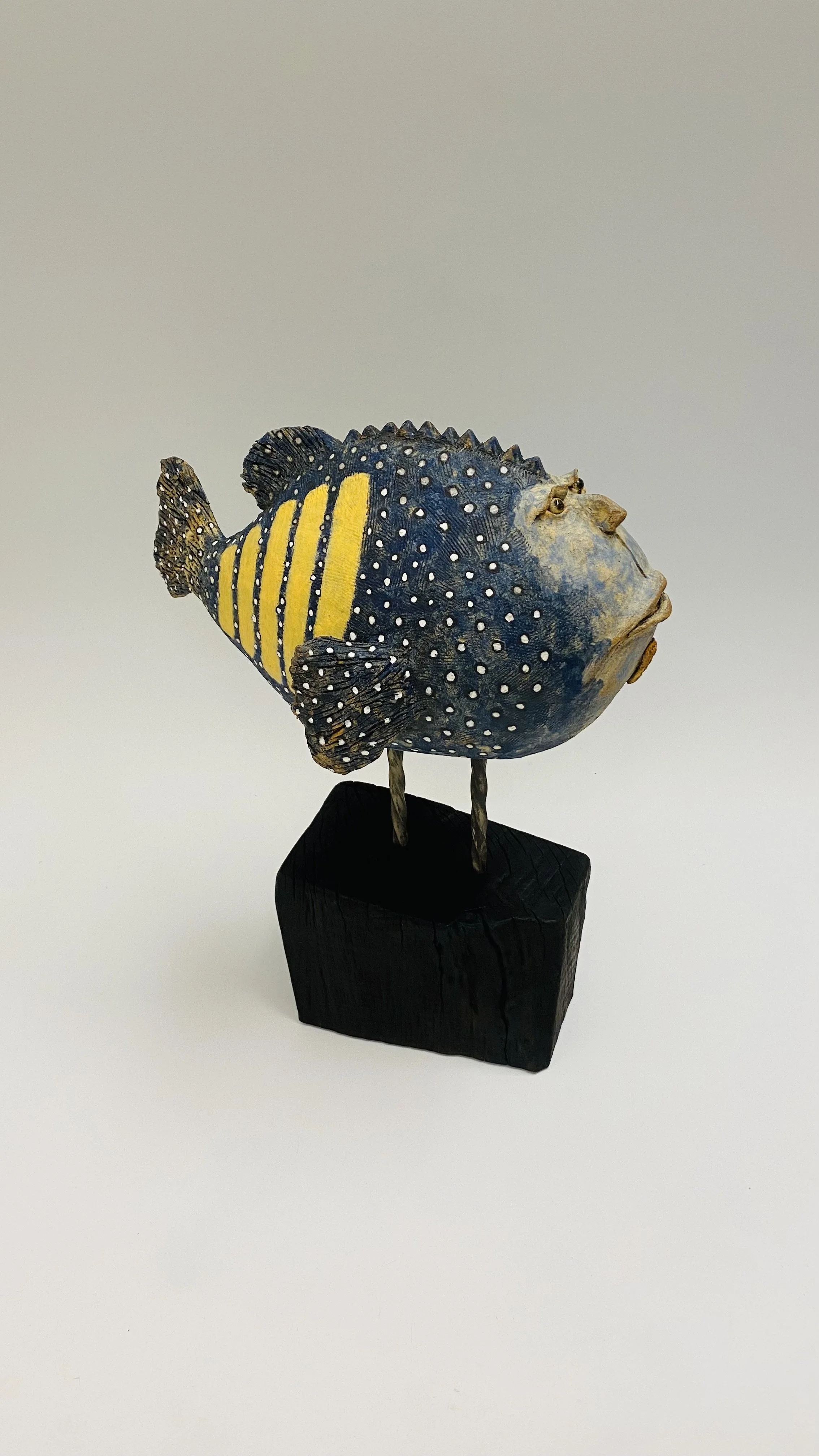 'Blue-Spotted Grouper Fish' please enquire