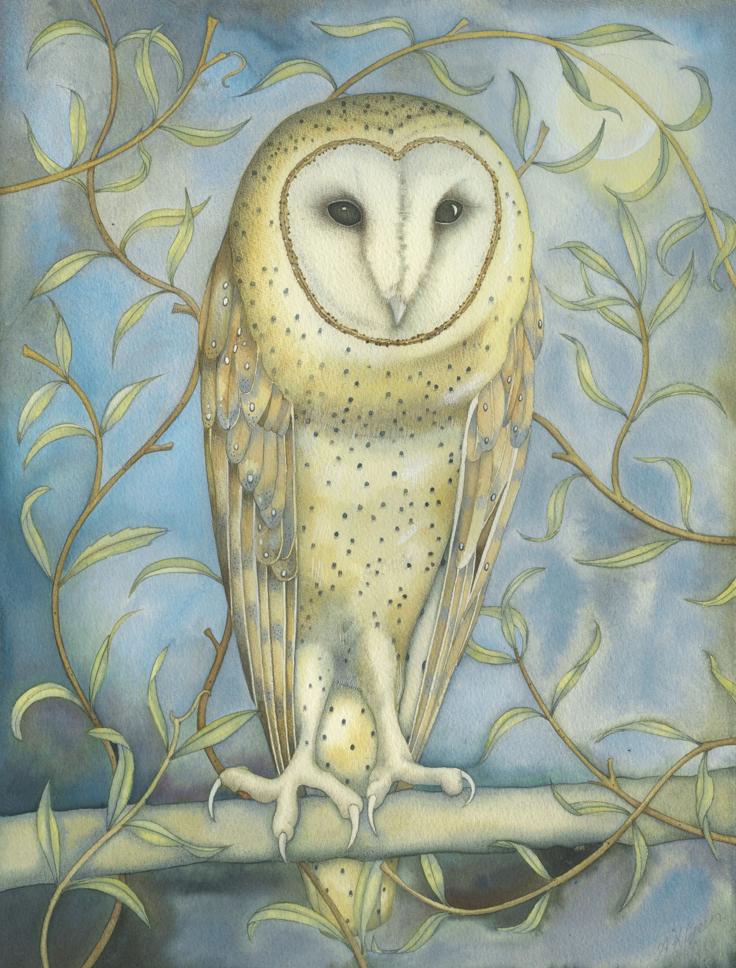 'Barn Owl in the Willow' limited edition print, numbered and signed by the artist, please enquire