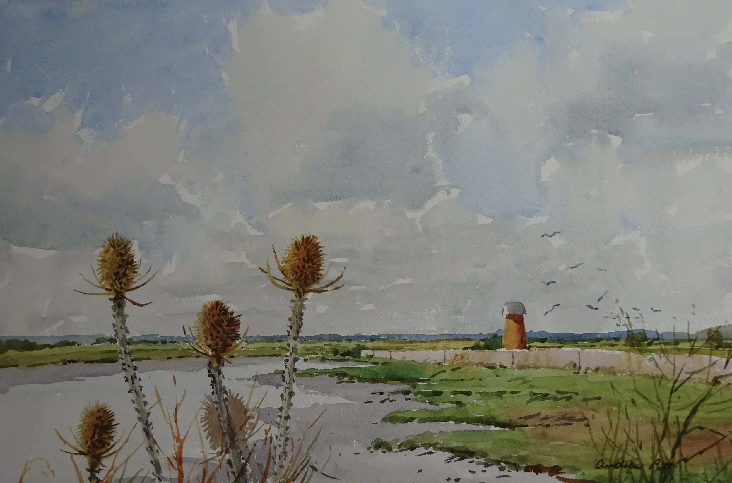 'Seawall Teasels - River Blyth' watercolour 53cm x 73cm framed £395.00