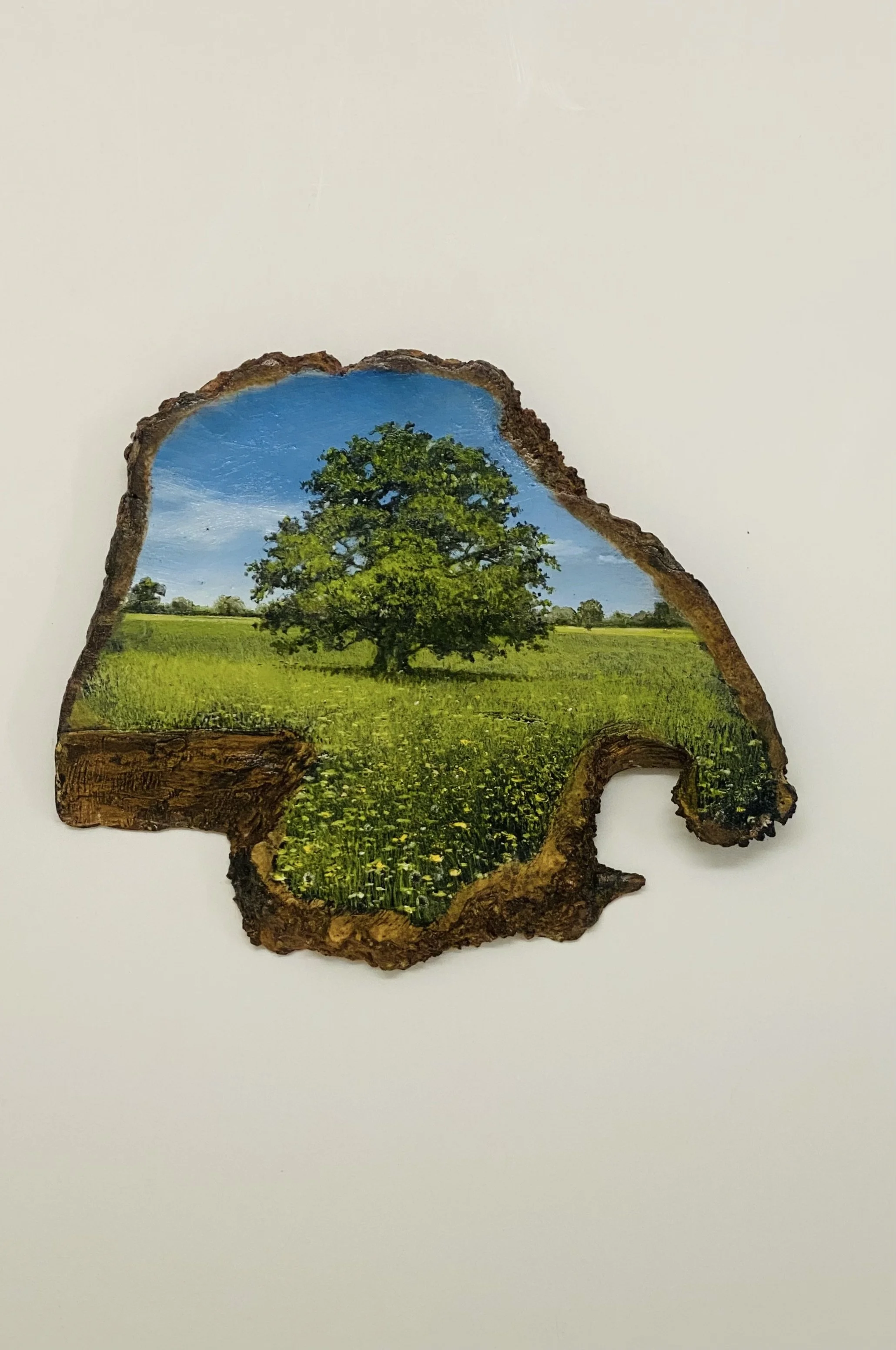 'Ancient Wise Oak' oil painting on a tree slice 24cm x 20cm x 2cm by Norfolk artist Garry Pereira £215.00