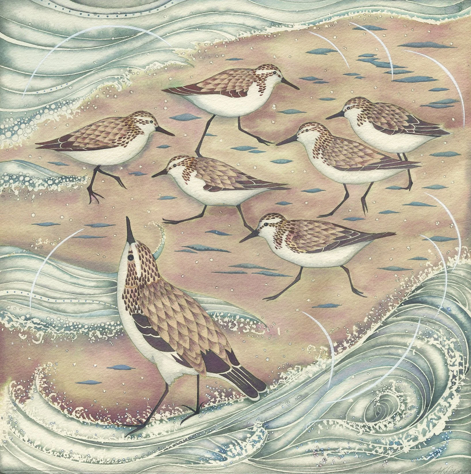 'Sanderlings on the Shore' framed limited edition Giclee print in a white wood frame 36cm x 36cm £125.00