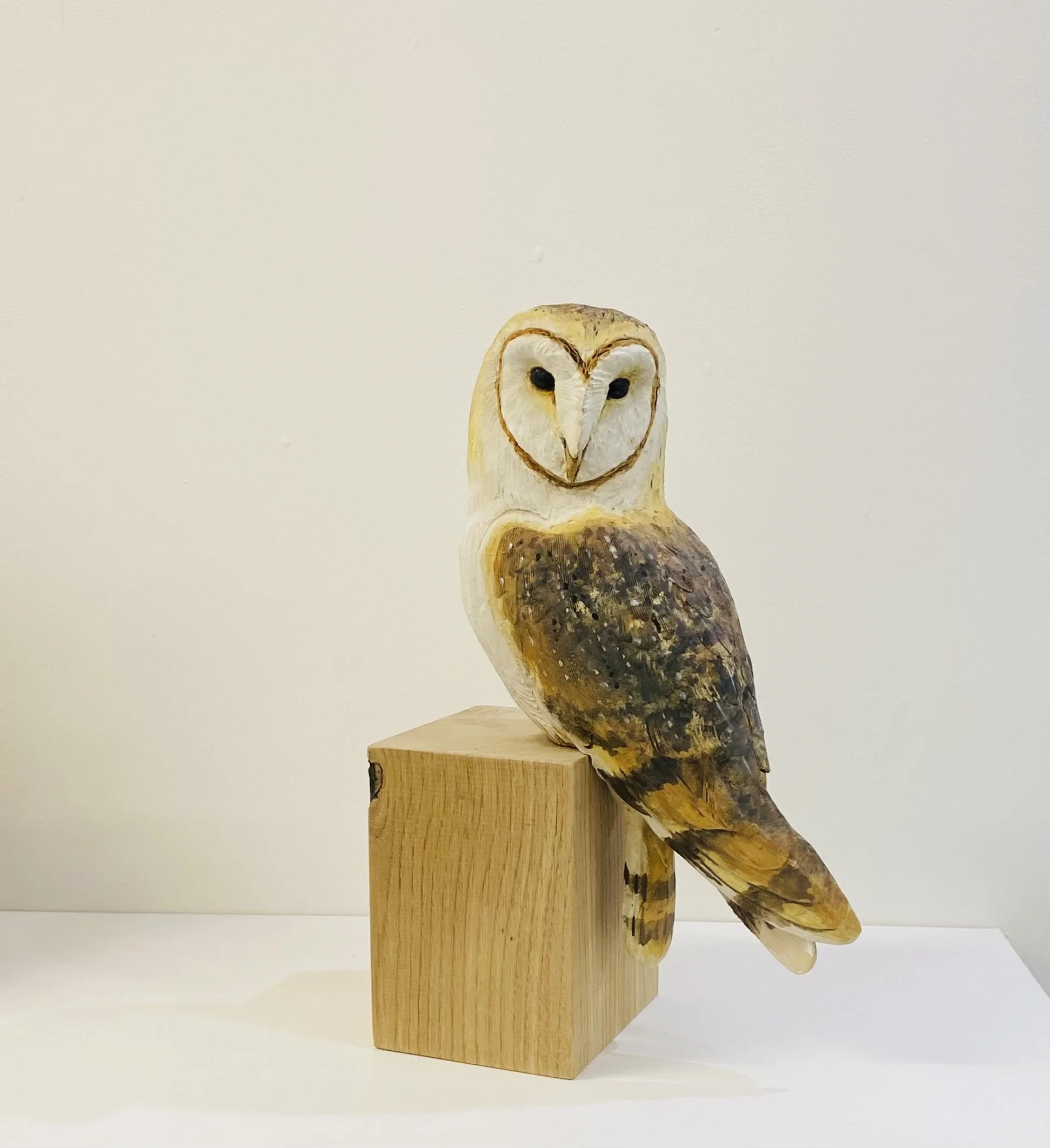 Barn Owl by British wildlife artist Karen Fawcett, ceramic on wood plinth H32cm W22cm D12cm SOLD