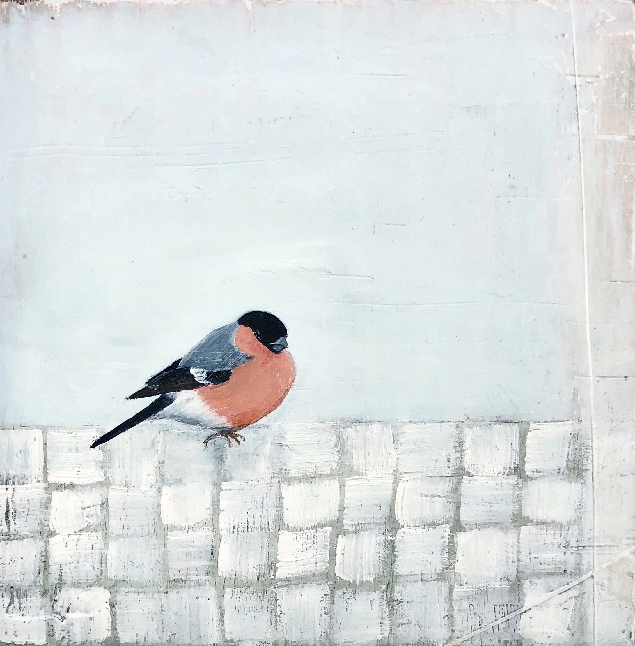 'Bullfinch' Jane Skingley, oil on board 30cm x 30cm (44cm x 44cm framed) £850