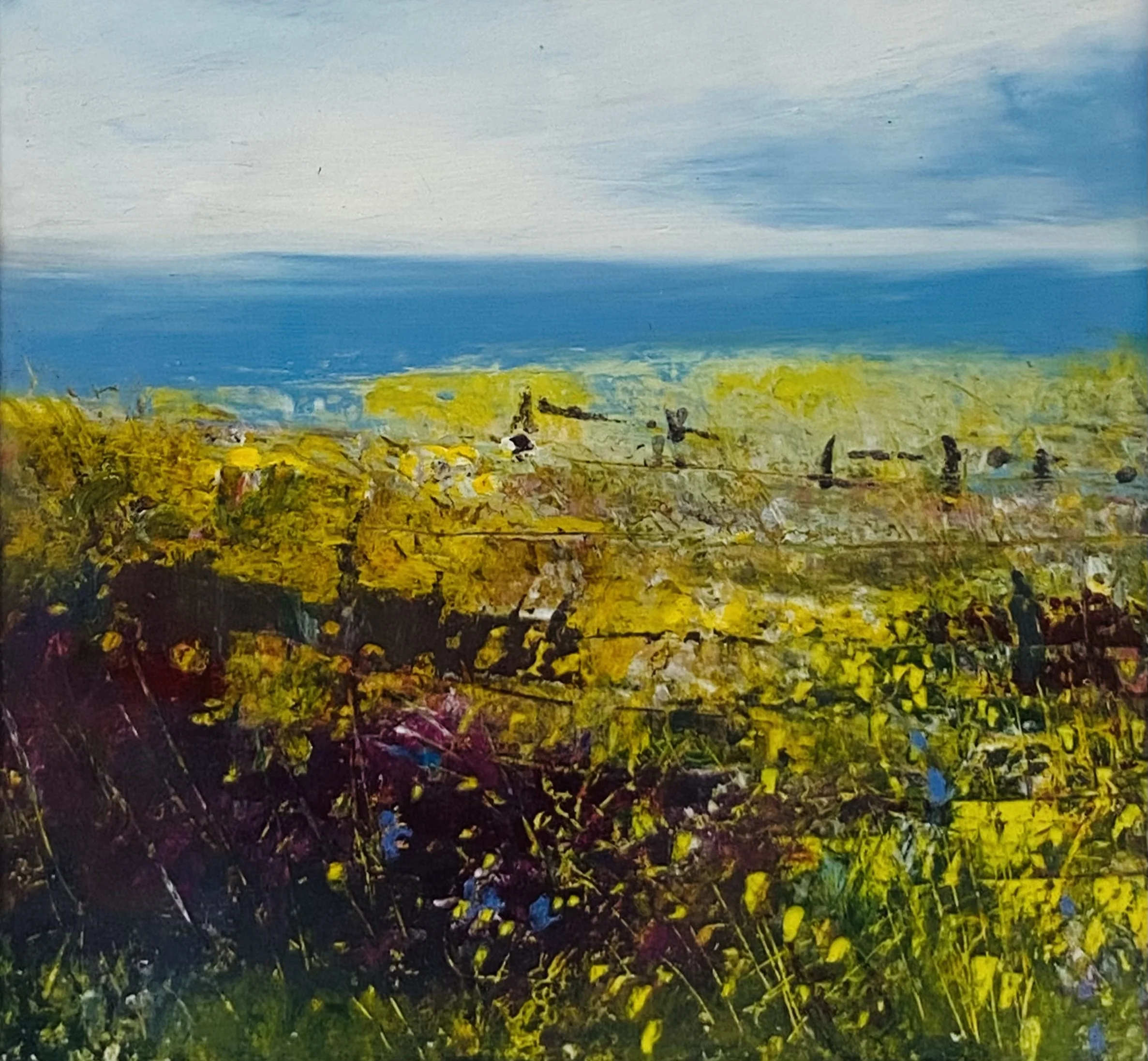 Heath, Heather & Sea