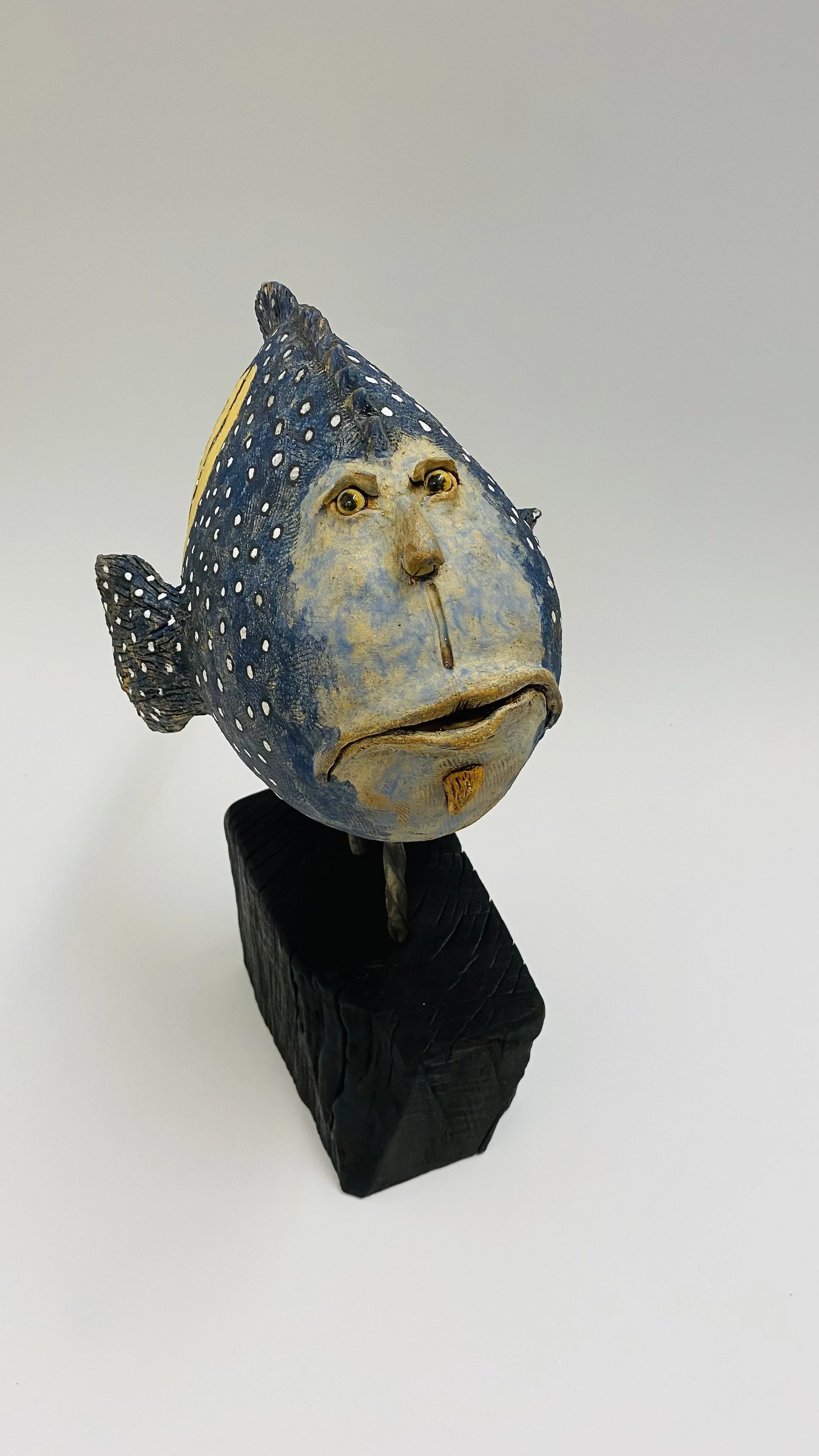 'Blue-Spotted Grouper Fish' please enquire