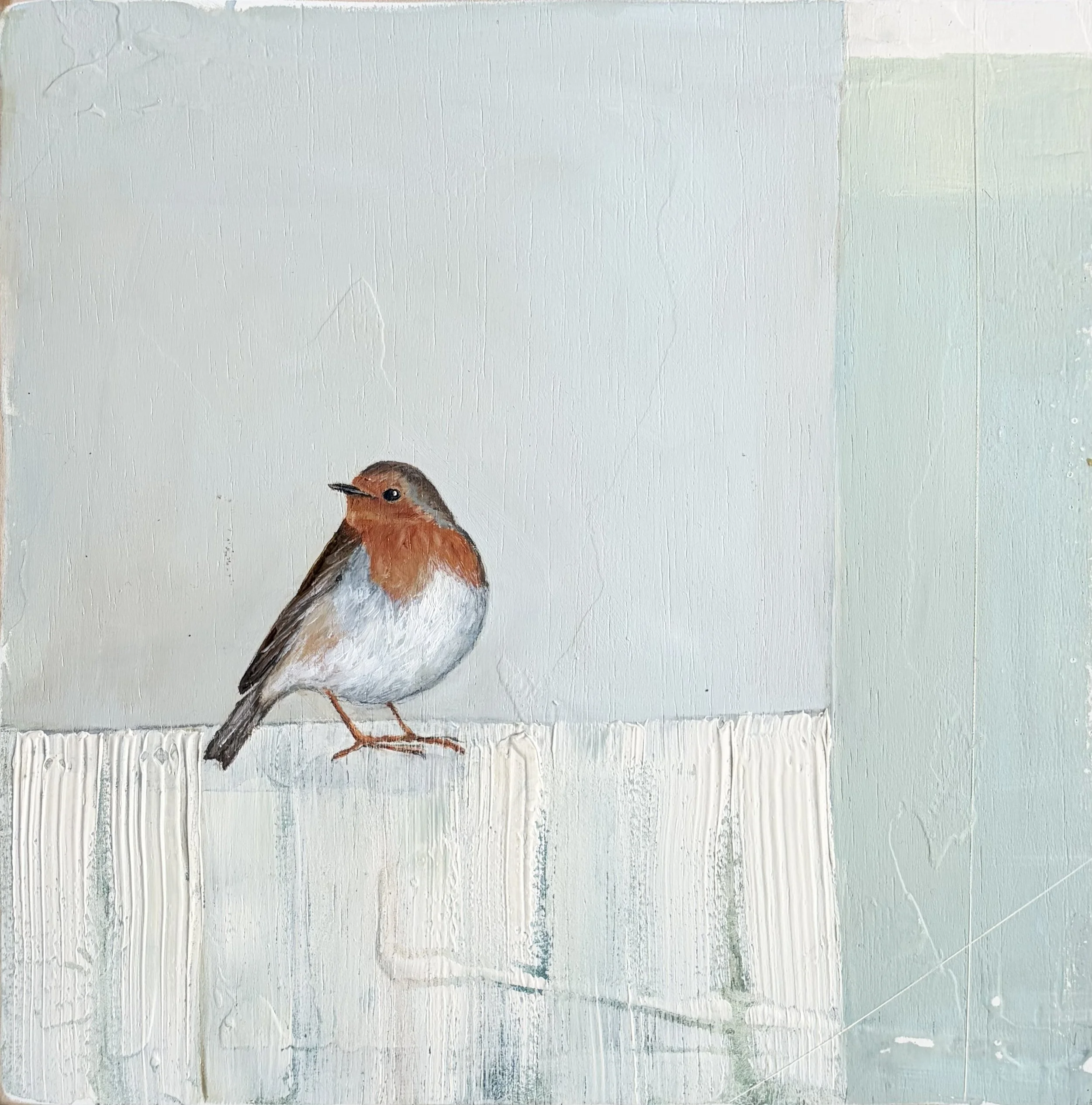 New collection garden birds for Winter 2025 'Robin' 30cm x 30cm (44cm x44cm framed) All oil paintings are framed in a white 3.5cm deep box frame SOLD