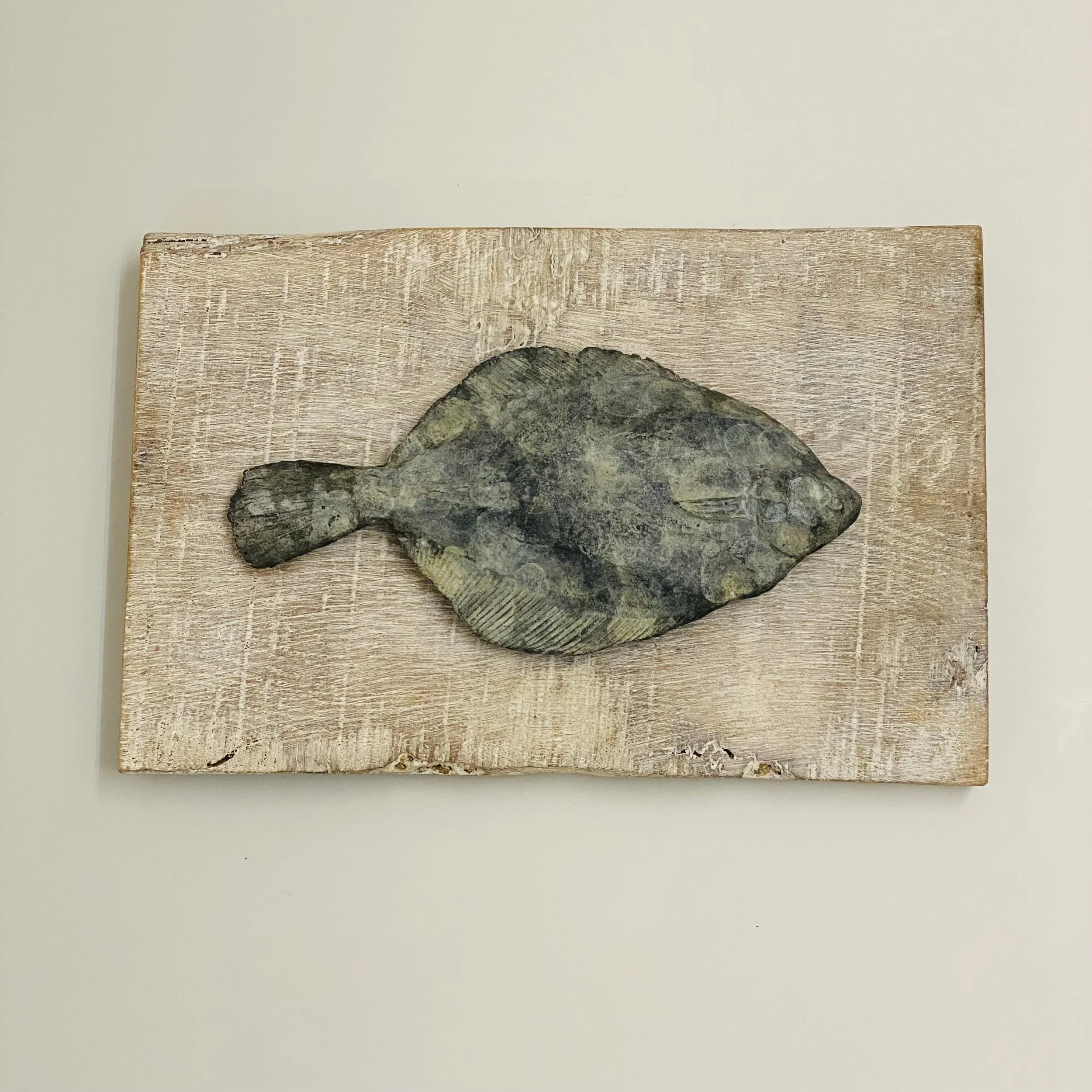 'Small Dab' solid bronze cast on reclaimed oak 36cm x 24cm. Complete with fixings for wall hanging £490.00