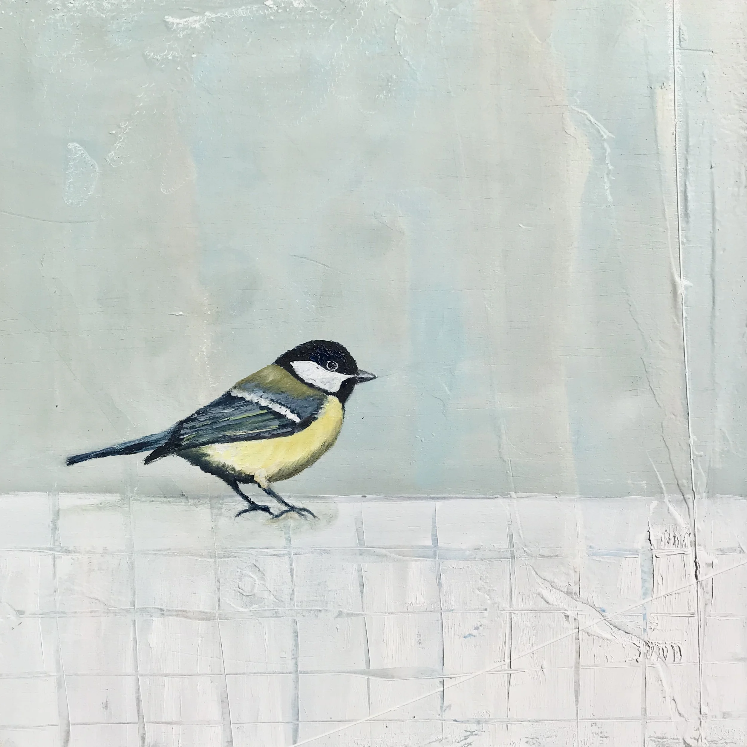 New collection garden birds for Winter 2025 'Great Tit' oil on board 30cm x 30cm (44cm x44cm framed) All oil paintings are framed in a white 3.5cm deep box frame £850.00
