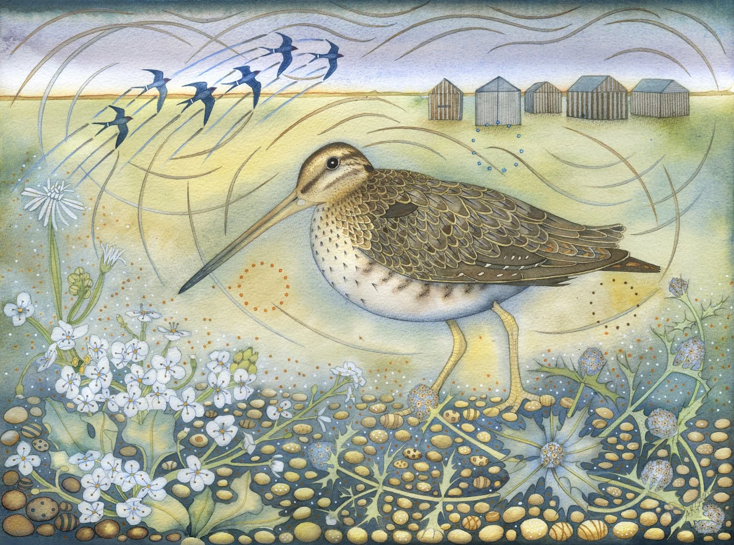 Framed limited edition giclee prints by Norfolk artist Kate Green 'Snipe' 44.5cm x 35.5cm £135