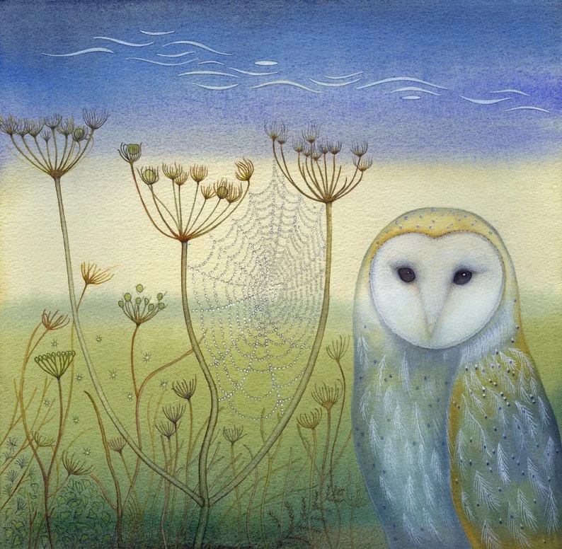 'Barn Owl and Spider's Web' limited edition Giclee print 35cm x 35cm framed £125