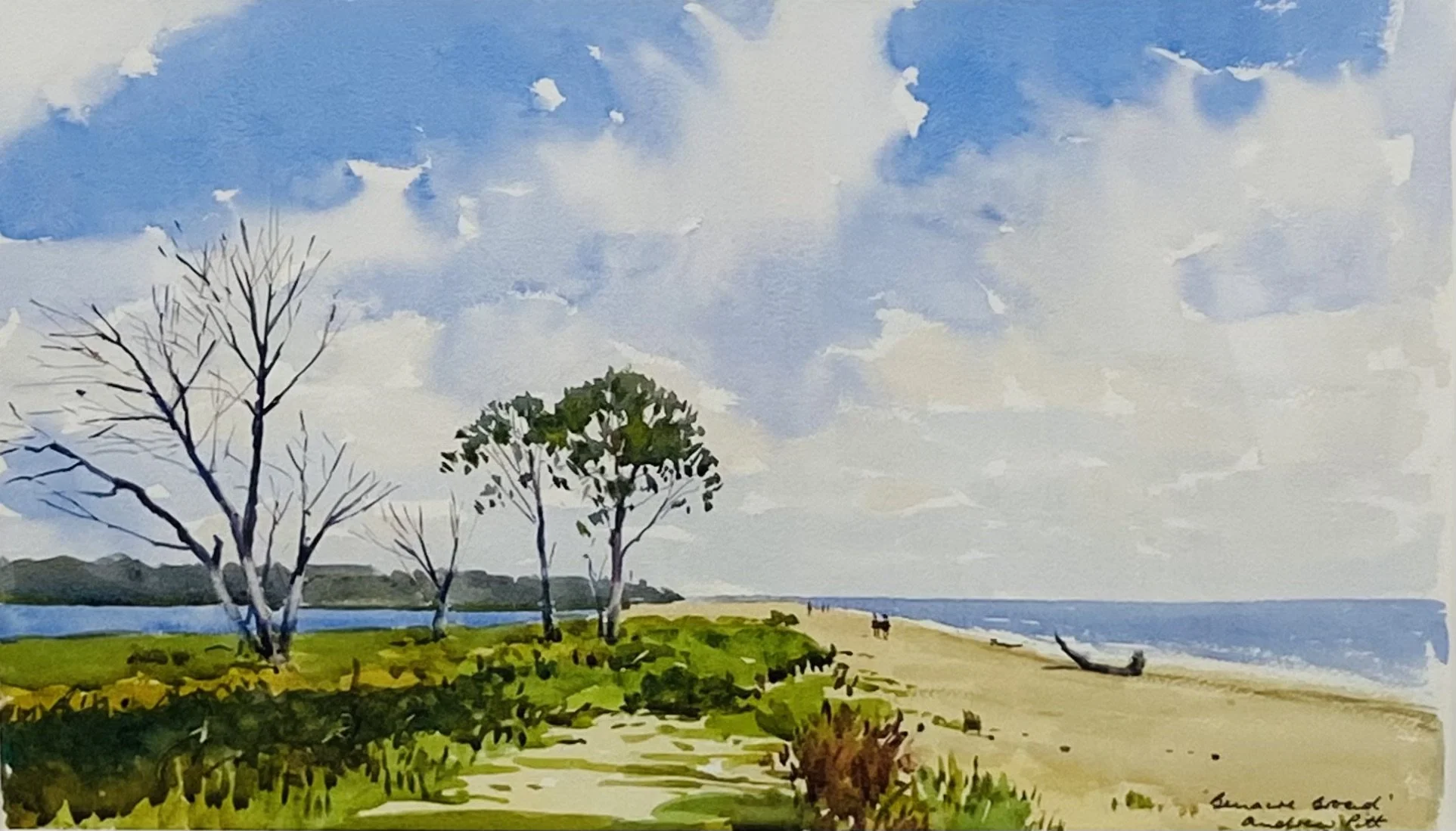 Benacre Broad, Summer