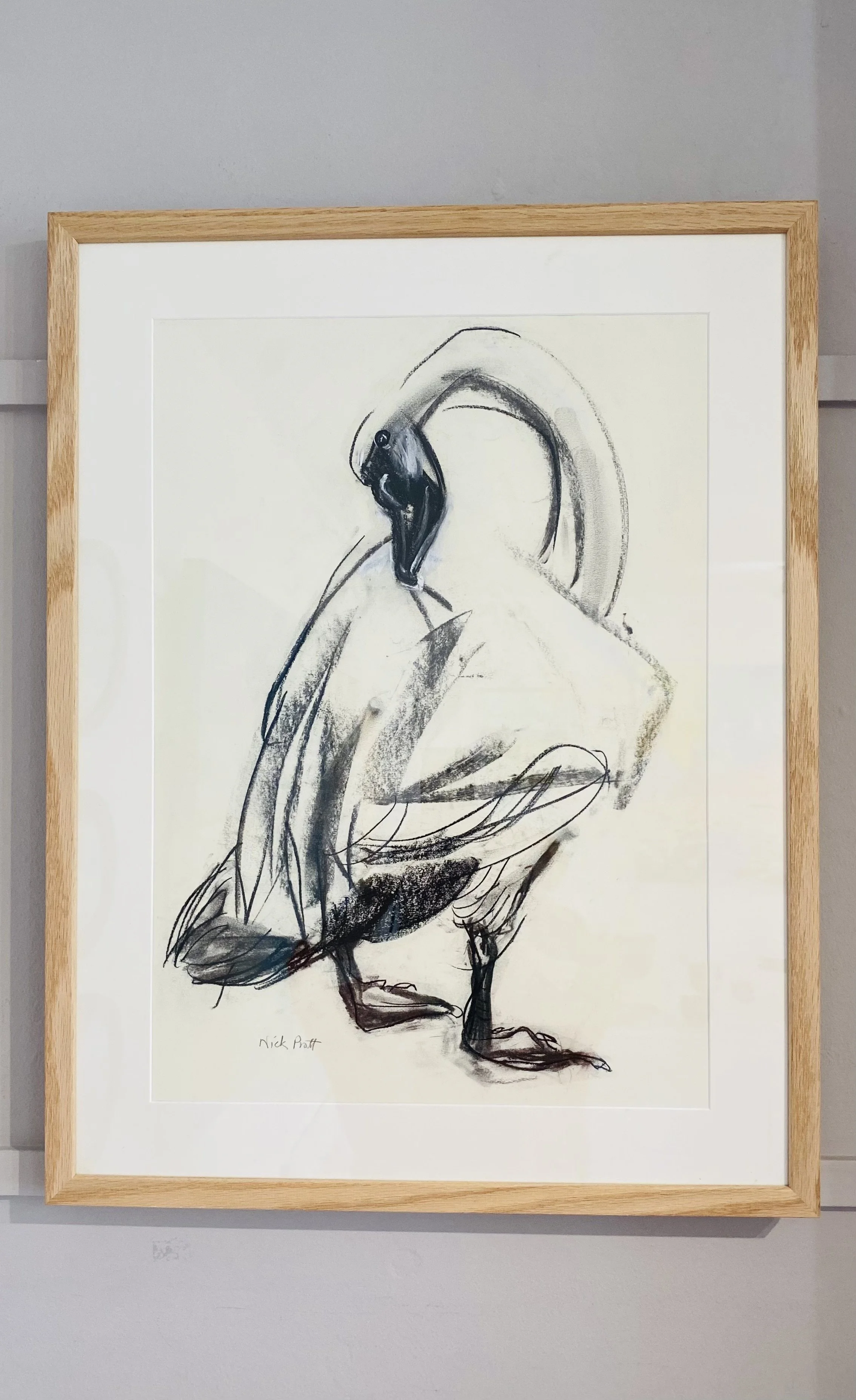 'Swan' Nicholas Pratt, charcoal on paper framed £300 