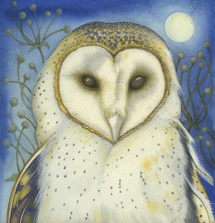 'The White Owl' framed limited edition Giclee print in a white wood frame 28cm x 28cm SOLD