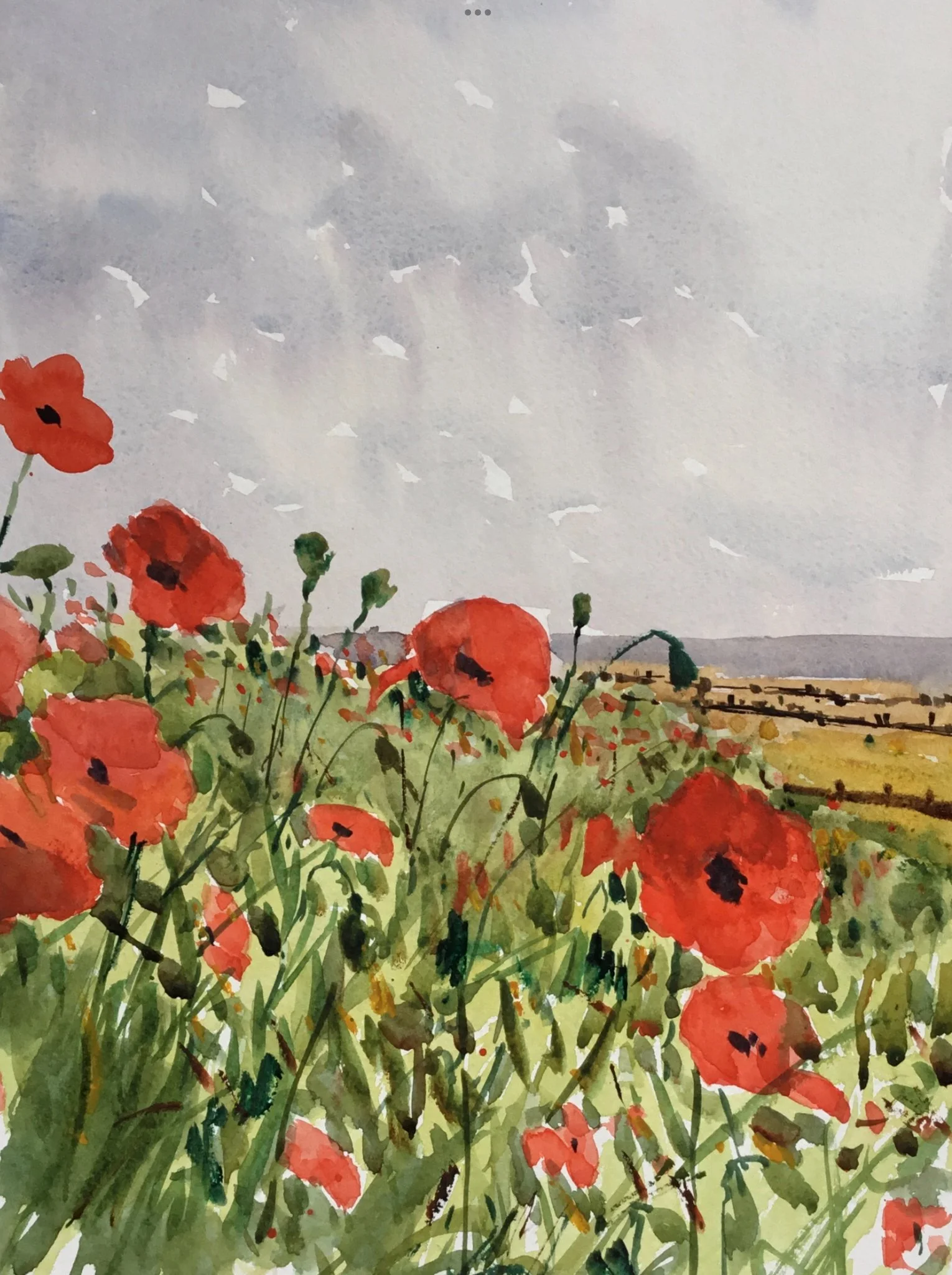 'Cliff Top Poppies' watercolour 53cm x 43cm framed £250.00
