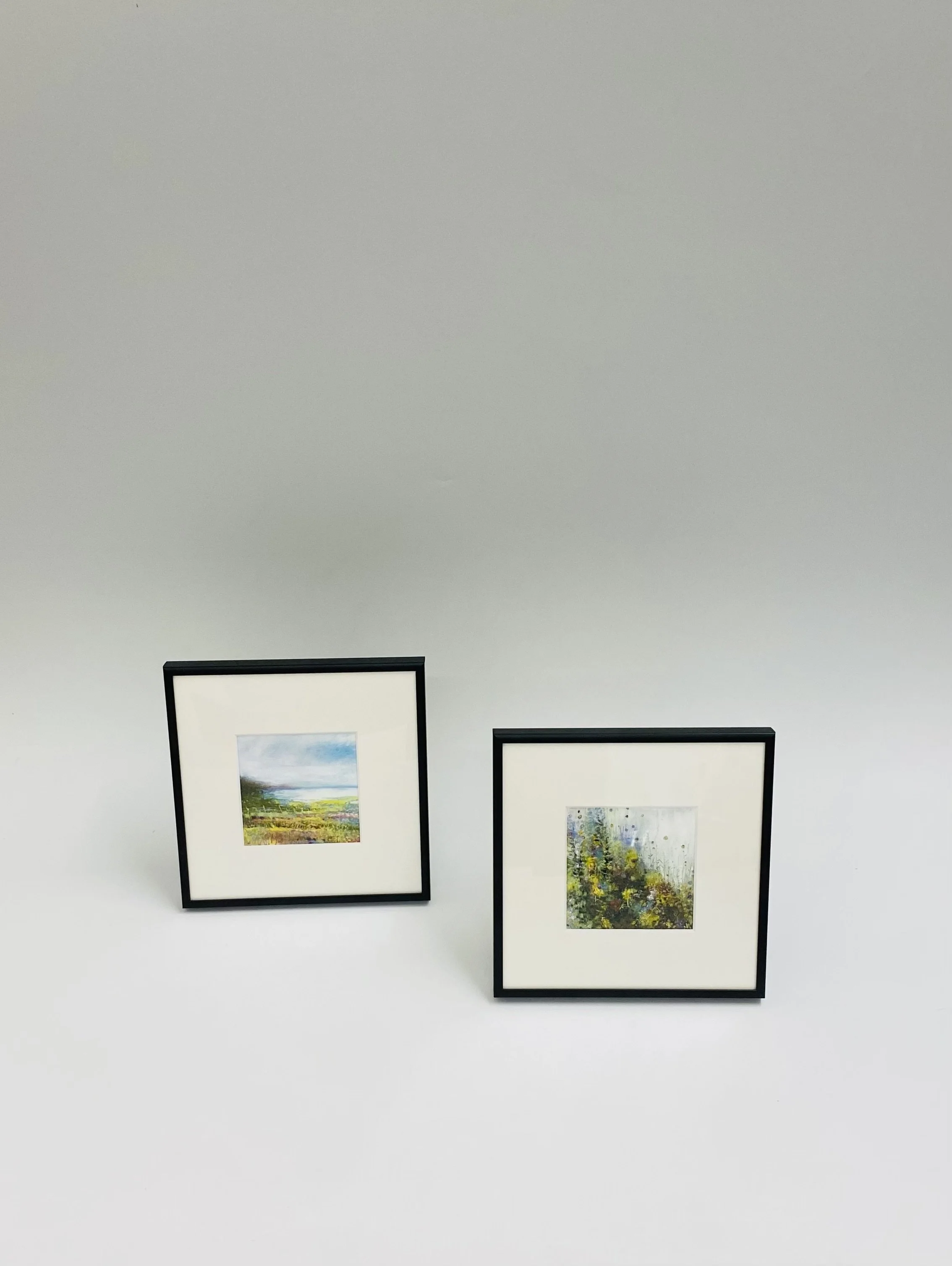 Lyz Gardner's delightful small oil pastel & pencil works are framed with an off white mount & a black frame. Complete with fixings ready to wall hang or free standing. 