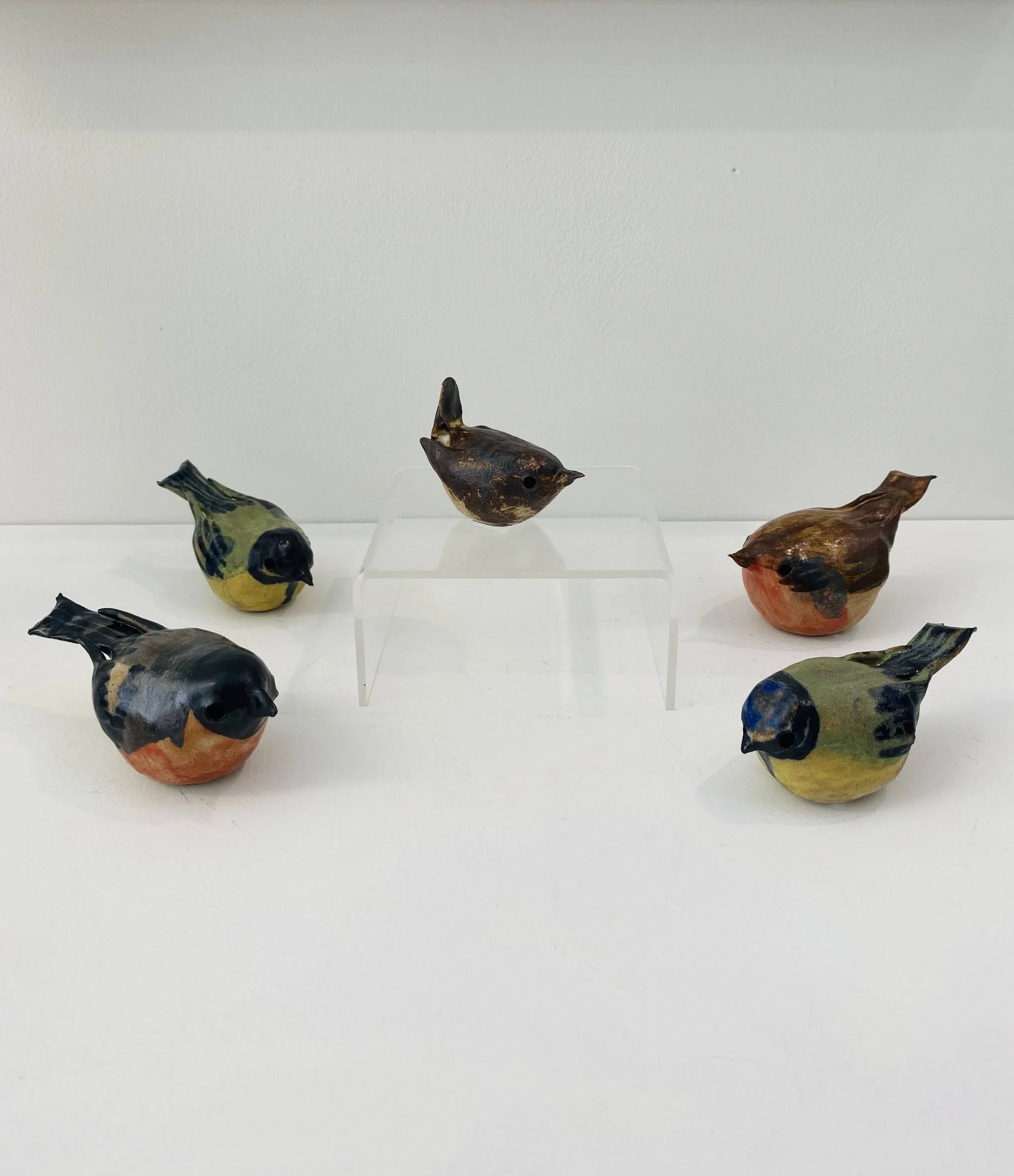 Hand made stoneware Garden Birds - Bullfinch, Great Tit, Wren, Robin & Blue Tit