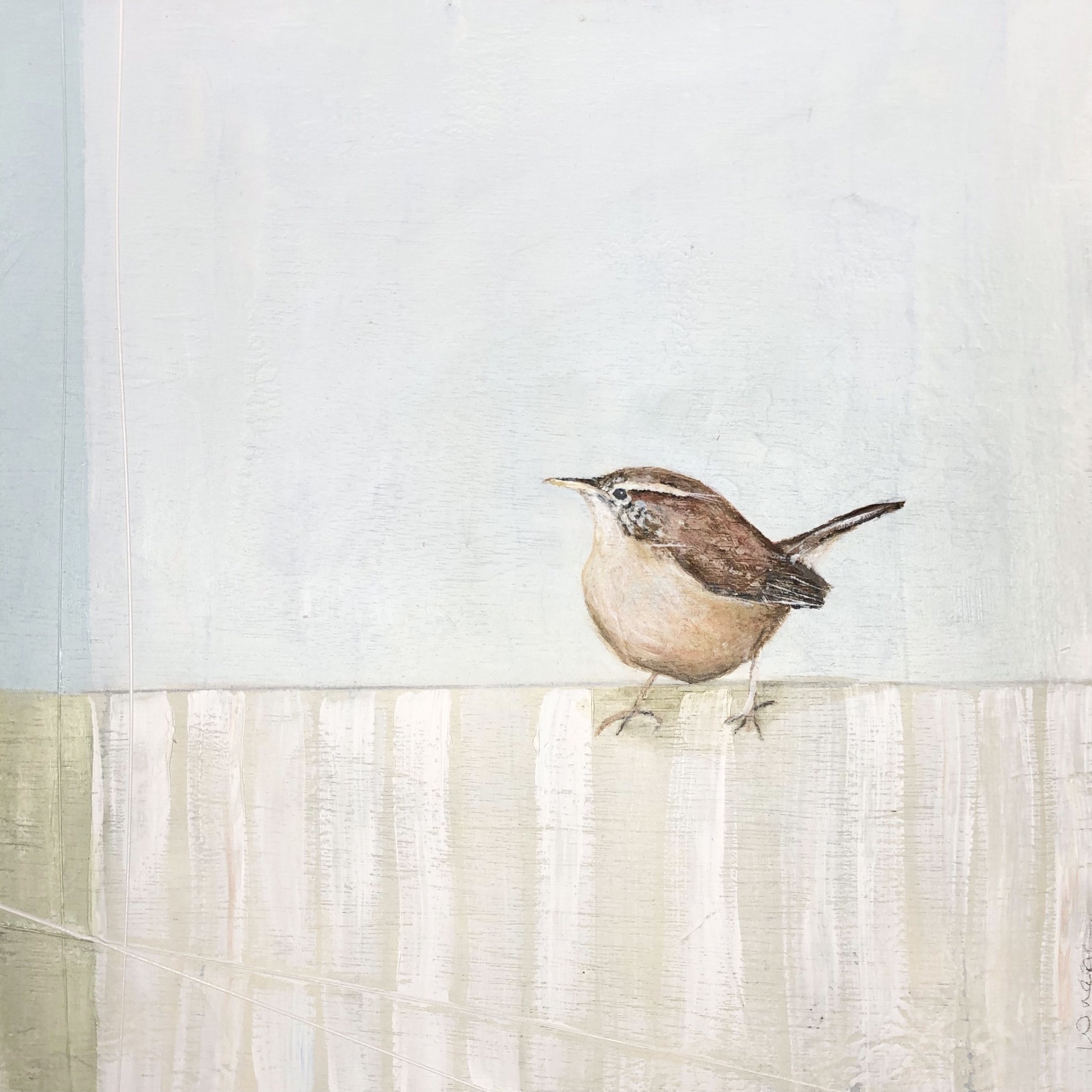 'Wren' Jane Skingley, oil on board 30cm x 30cm (44cm x 44cm framed) £850