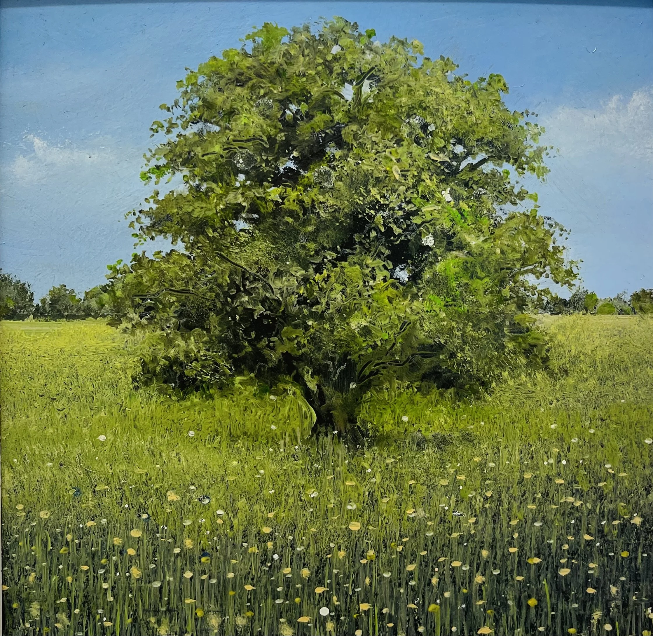 'Then Came Hot July' Garry Pereira oil on panel 30cm x 30cm framed £385