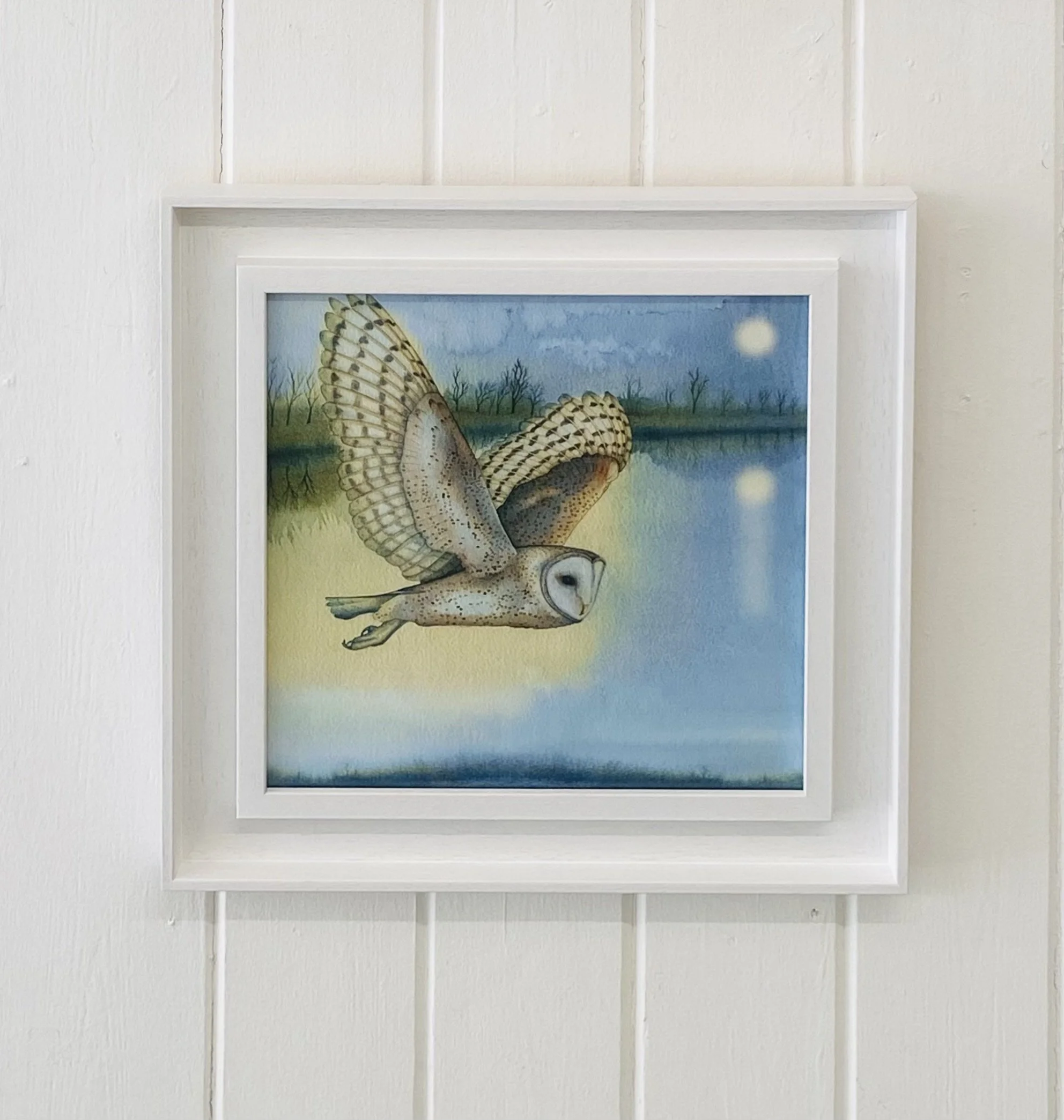 'Barn Owl Over the Water' in frame
