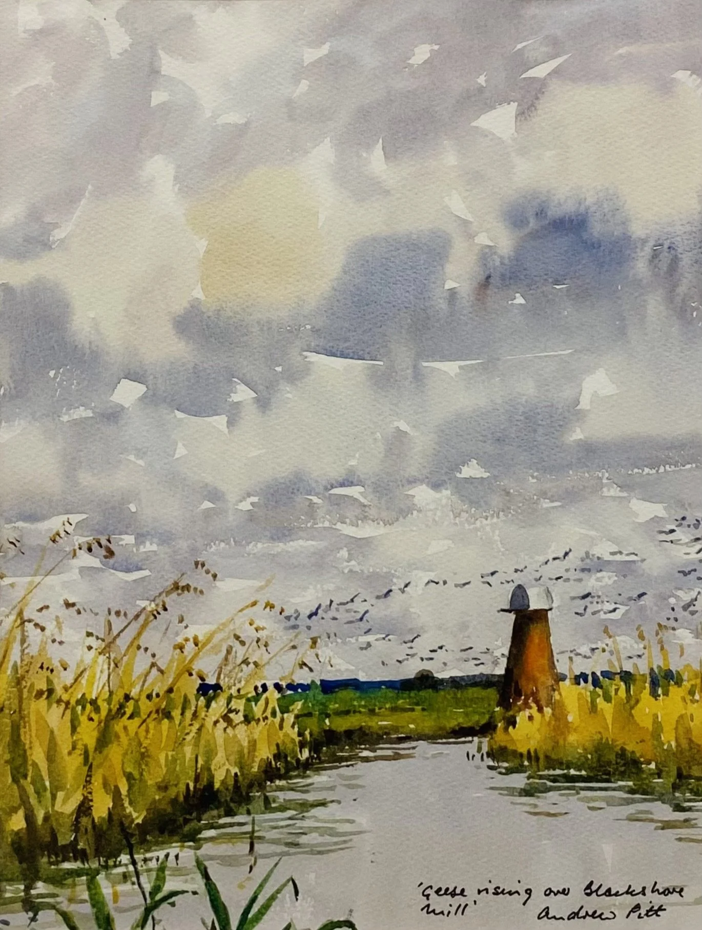 'Geese Rising over Blackshore Mill' watercolour  43cm x 53cm framed £275.00