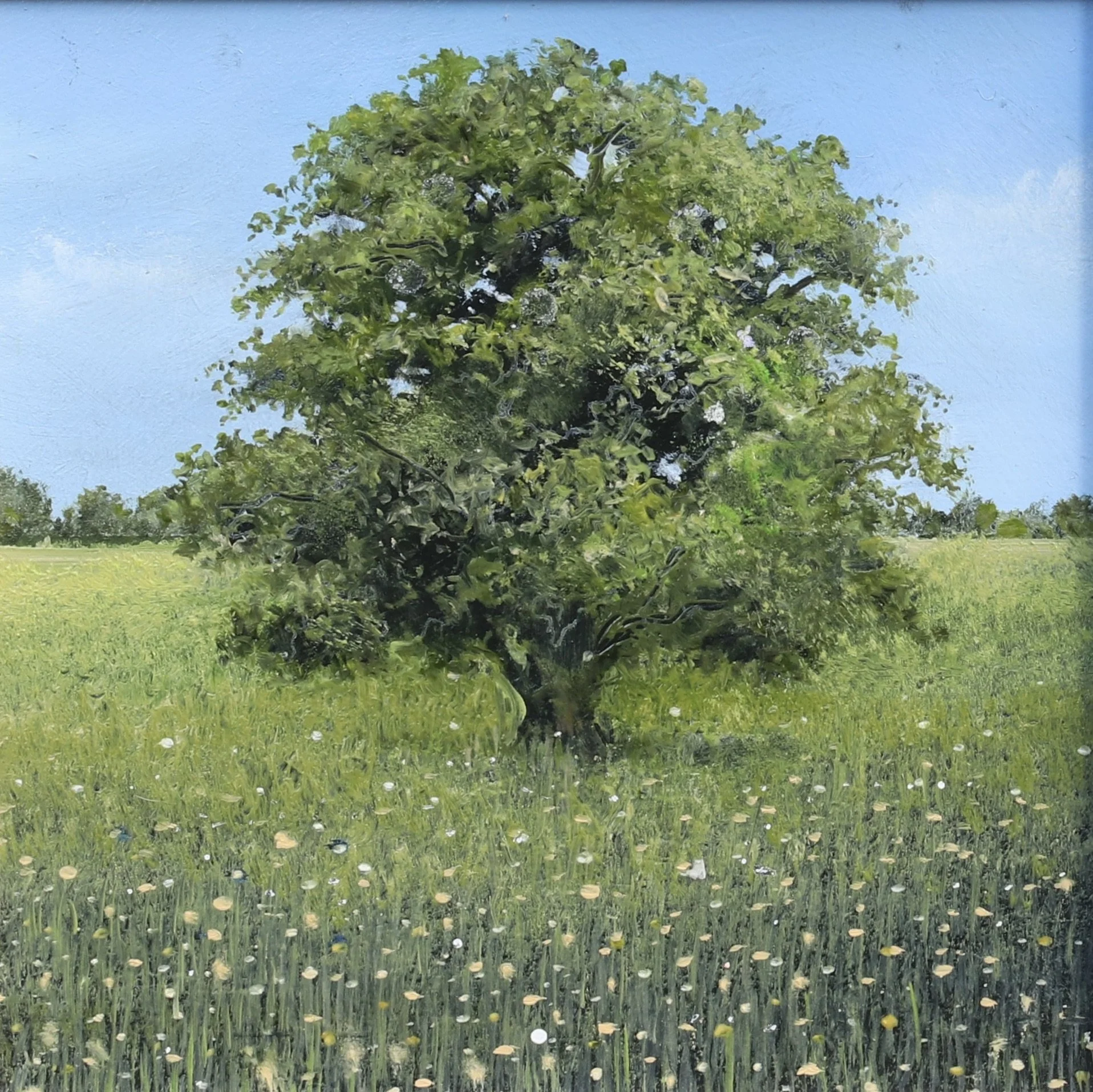 New collection of paintings by Norfolk artist Garry Pereira. 'Then Came Hot July' oil on panel   30cm x 30cm framed £425.00