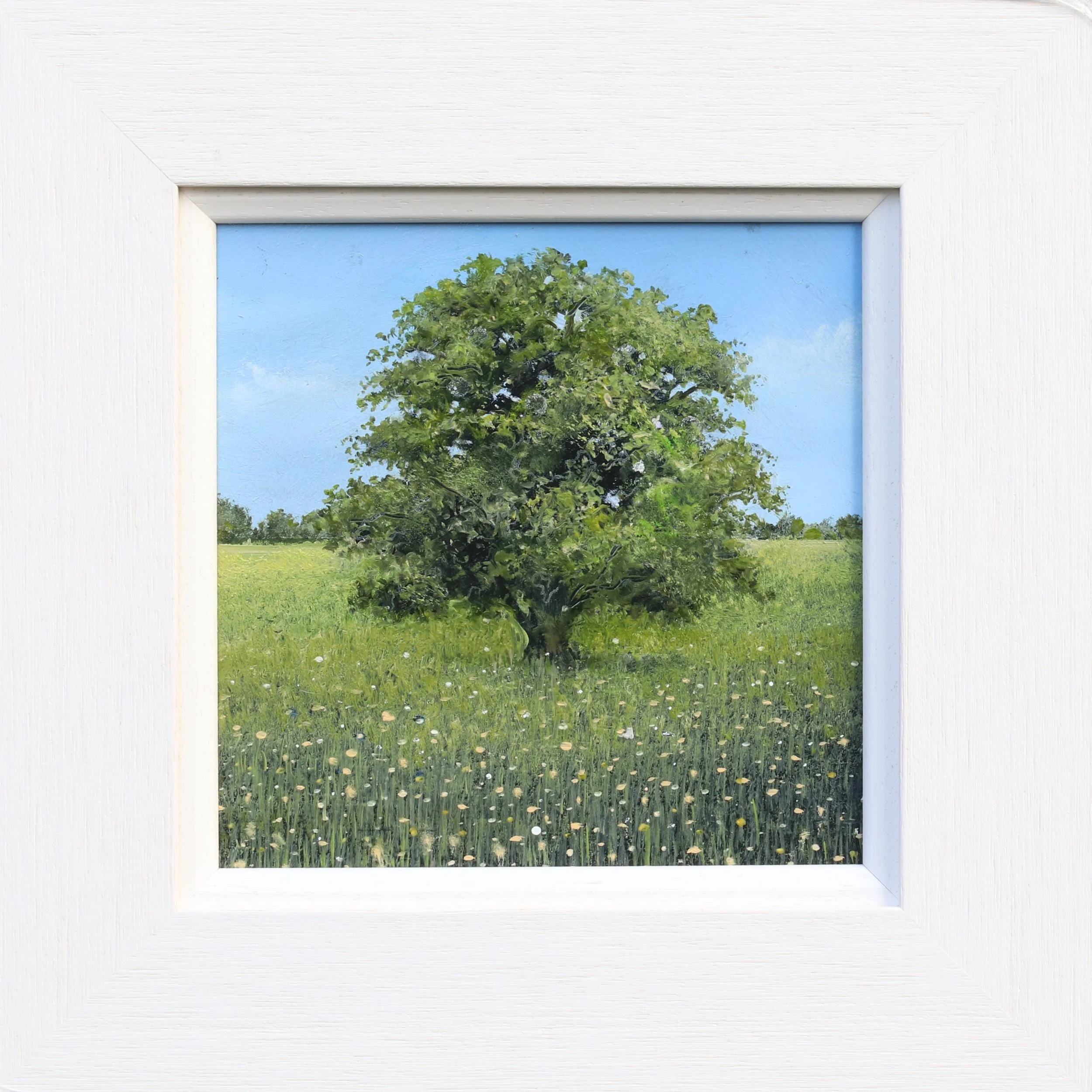 'Then Came Hot July' oil on panel 30cm x 30cm framed £425.00