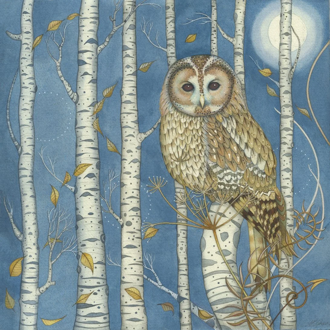 'Tawny Owl Among the Birches' framed limited edition Giclee print in a white wood frame 36cm x 36cm SOLD