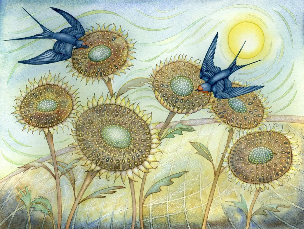 'Swallows and Sunflowers' limited edition print numbered and signed by the artist (edition number of 30) 40cm x 48.5cm framed £125