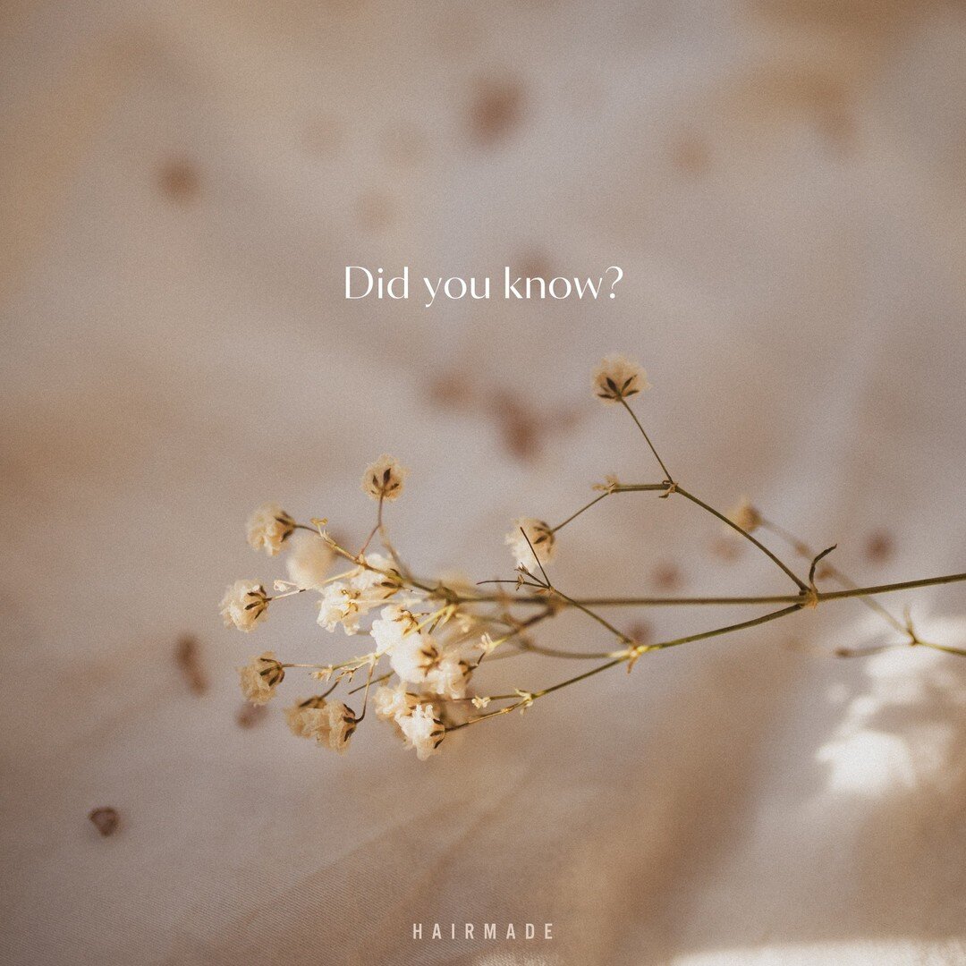 Did you know you should always detangle your hair before you wash it? 💦

This is a mistake many of us make, we head into the shower thinking that the running water will help detangle our hair. But this is certainly not true! If your hair is knotted 