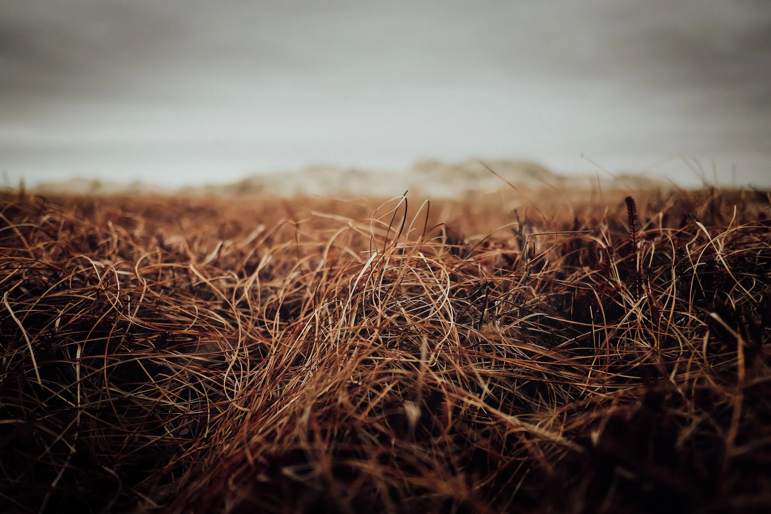 Crea il tuo stile di vita sano