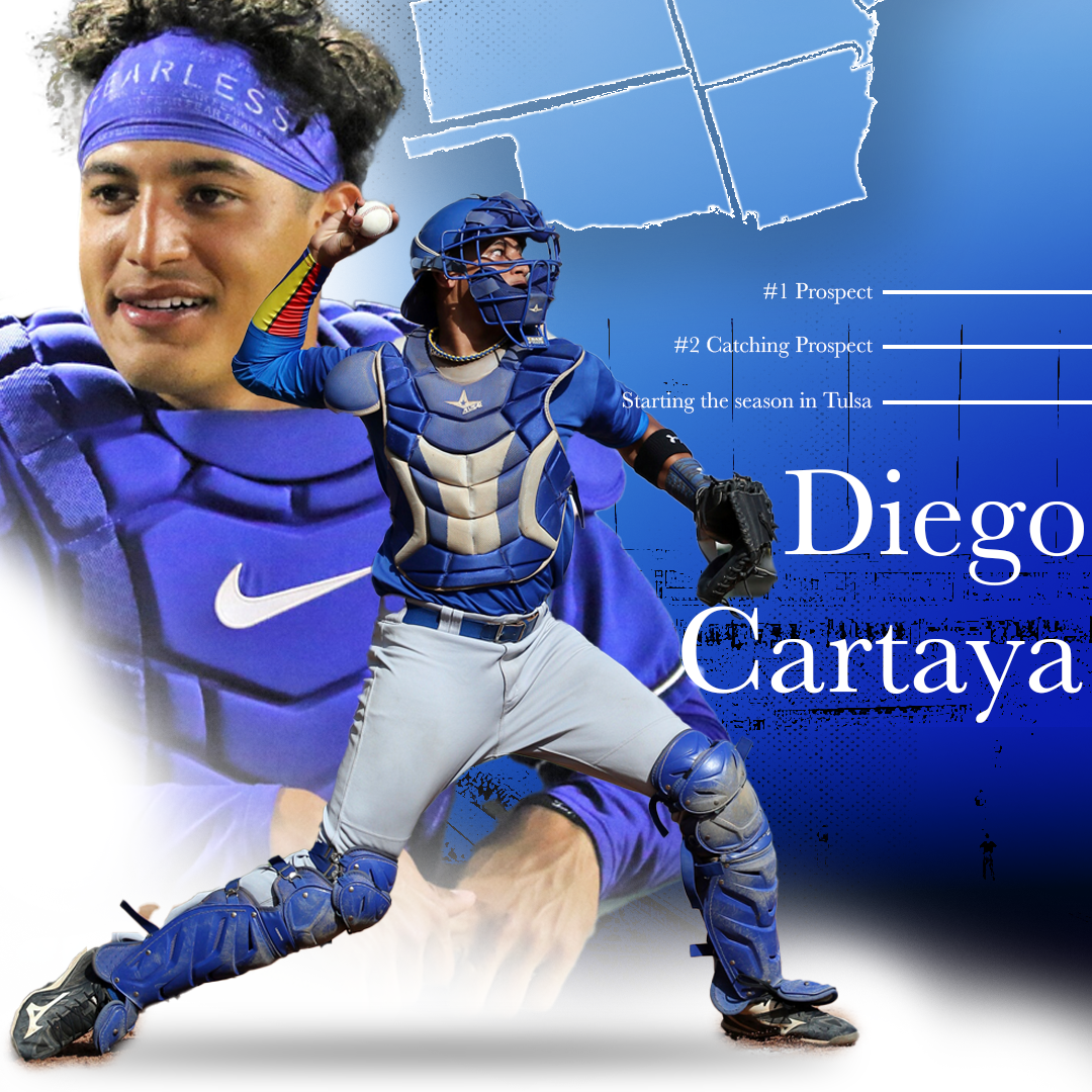 Diego cartaya 2.png