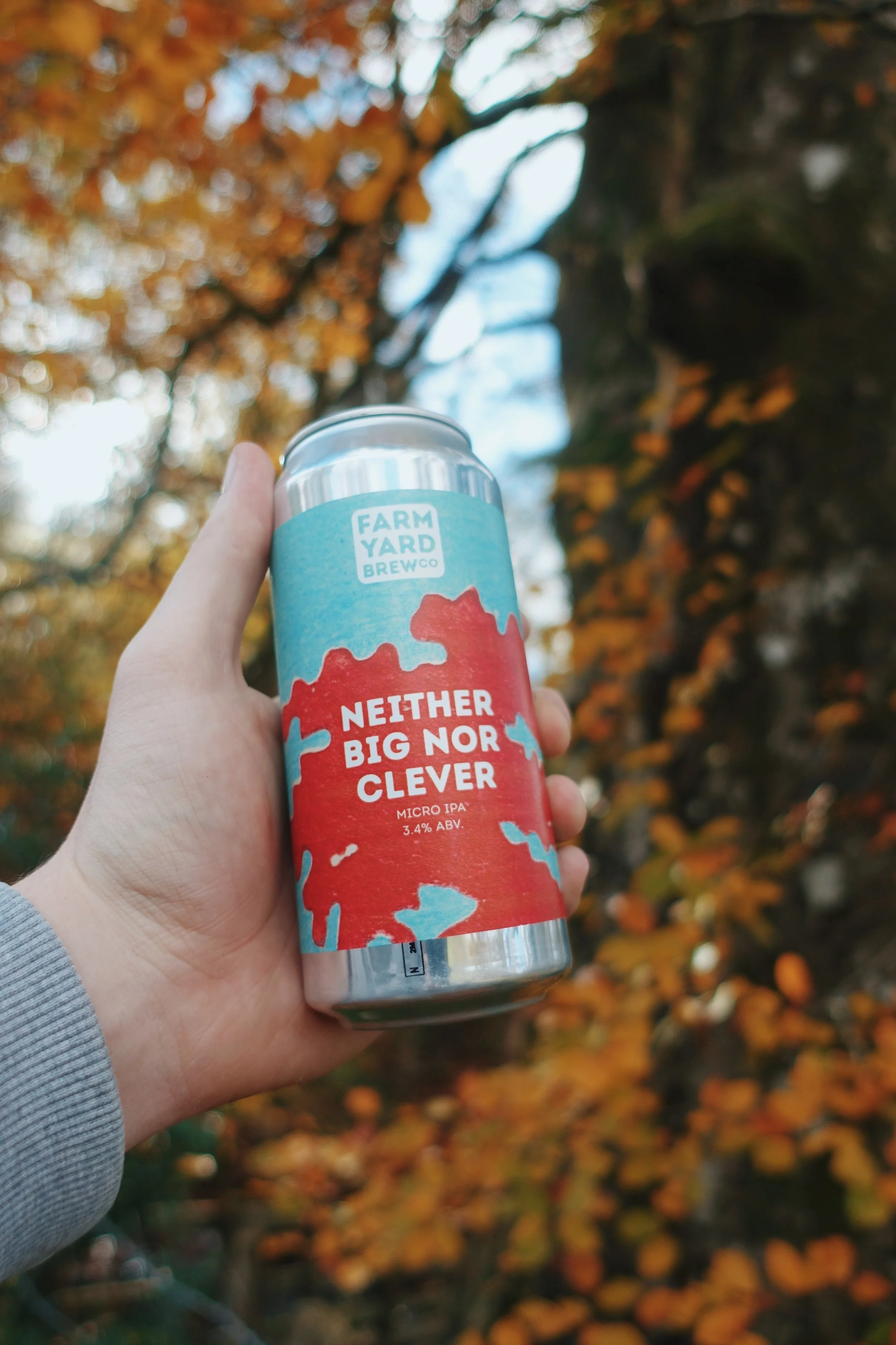 Neither Big Nor Clever - 3.4% Micro IPA