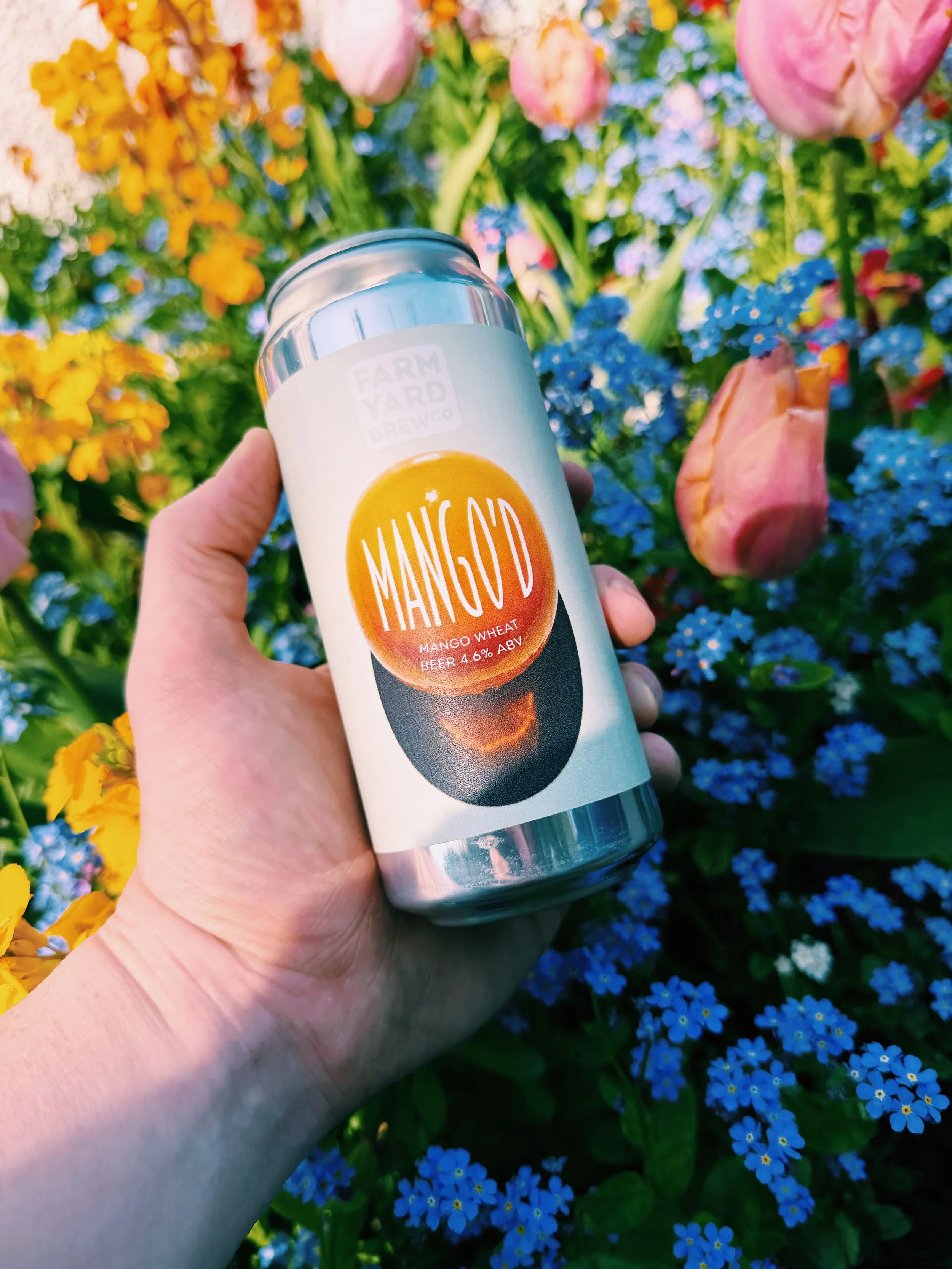 Mango'd - 4.6% Mango Wheat Beer