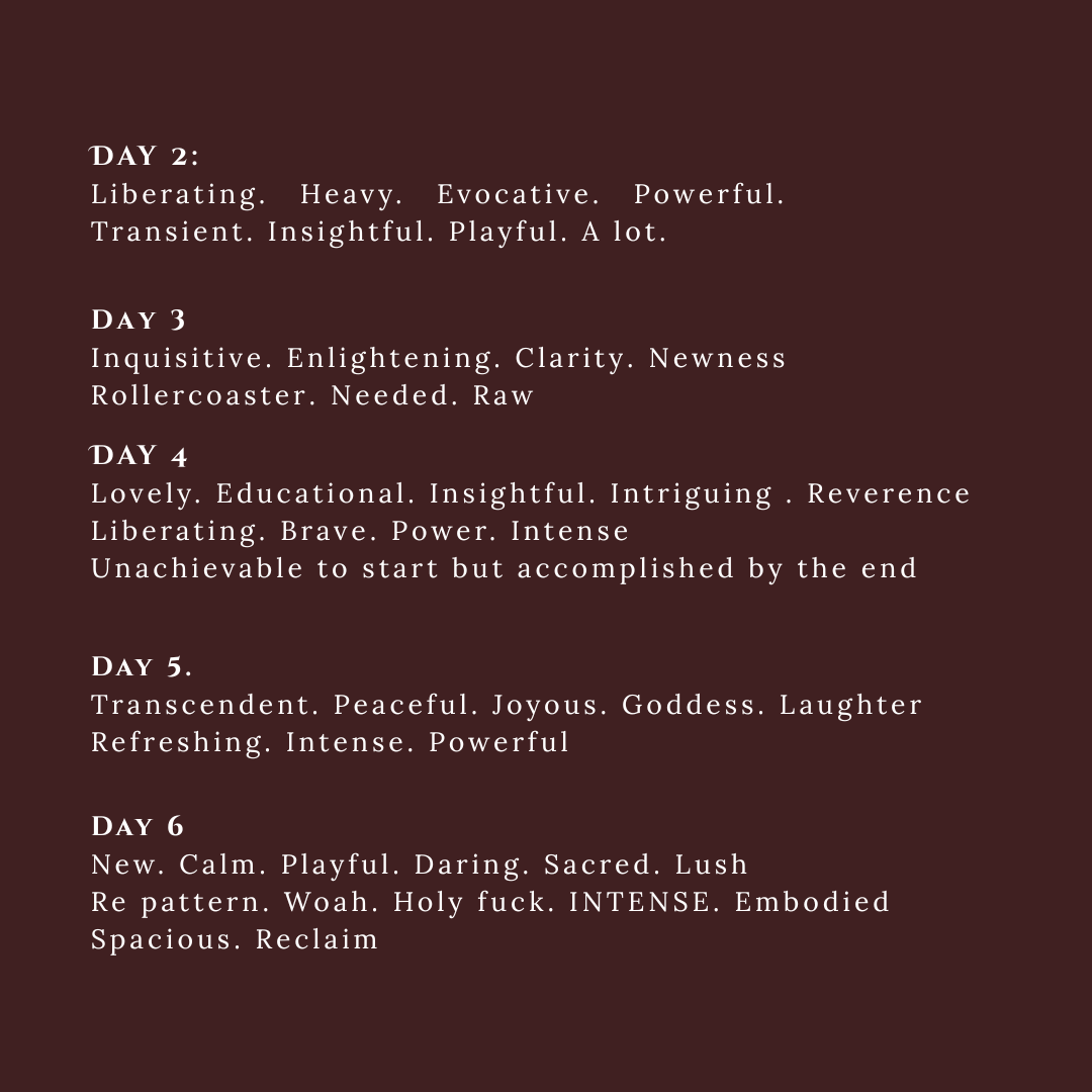 Text on a dark background with motivational and descriptive words divided by days, from Day 2 to Day 6, each describing themes like liberation, enlightenment, bravery, peace, and sacredness.