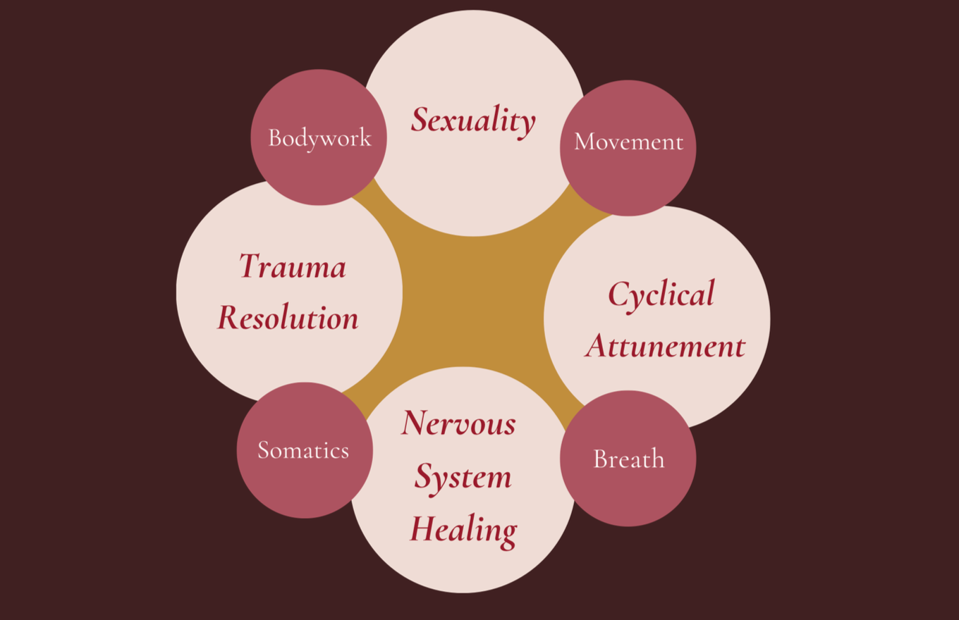 Diagram illustrating the connection between sexuality, trauma resolution, cyclical attunement, nervous system healing, and their associated factors like bodywork, movement, breath, somatics, and sexuality.