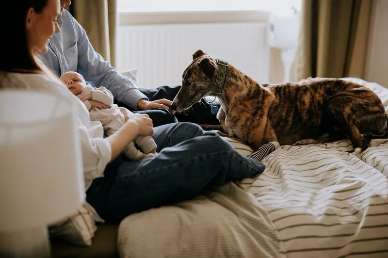 Just checking out the competition 👀🐾