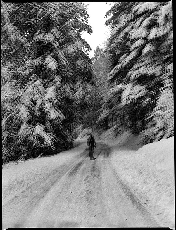 alice petit photographe journal.jpg