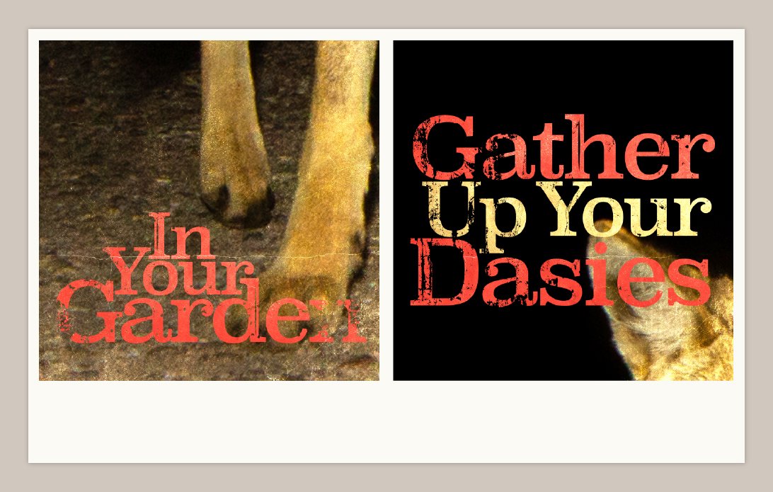 Album Artwork and Art Direction Credit.