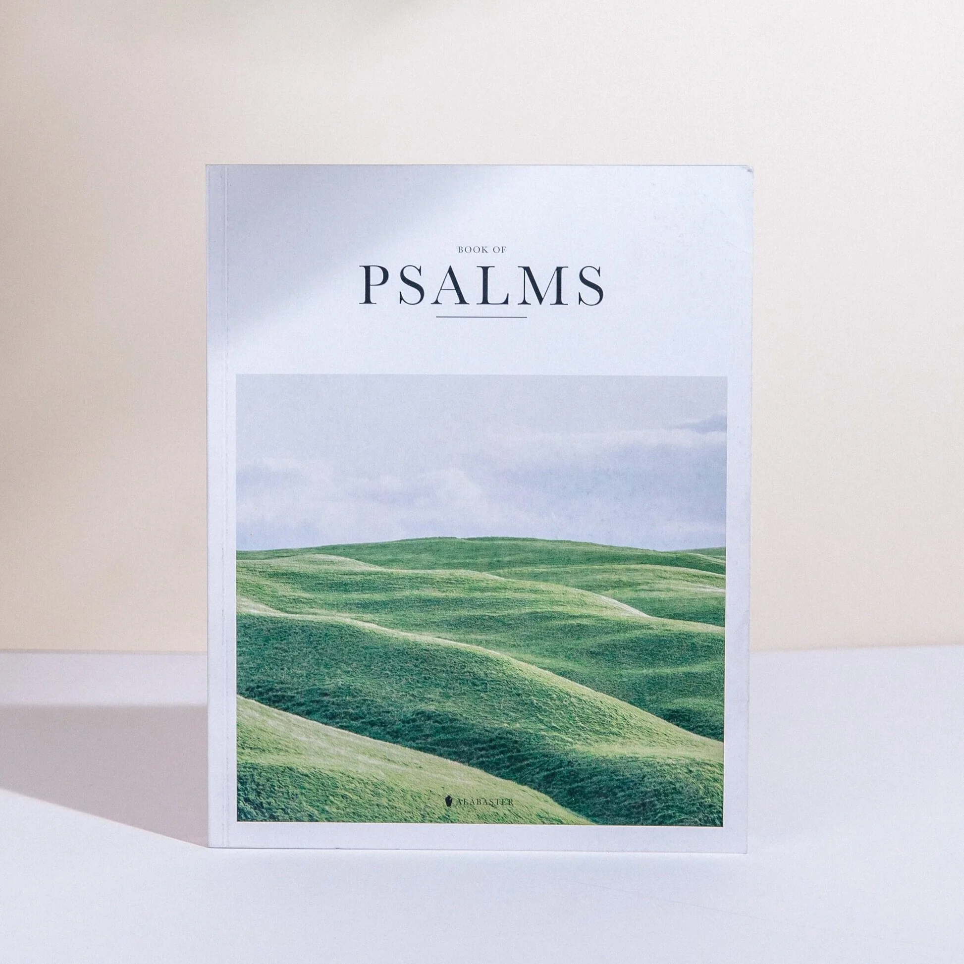 Marketing & Communications