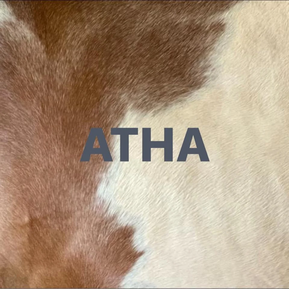 Show Information — Kansas Paint Horse Association