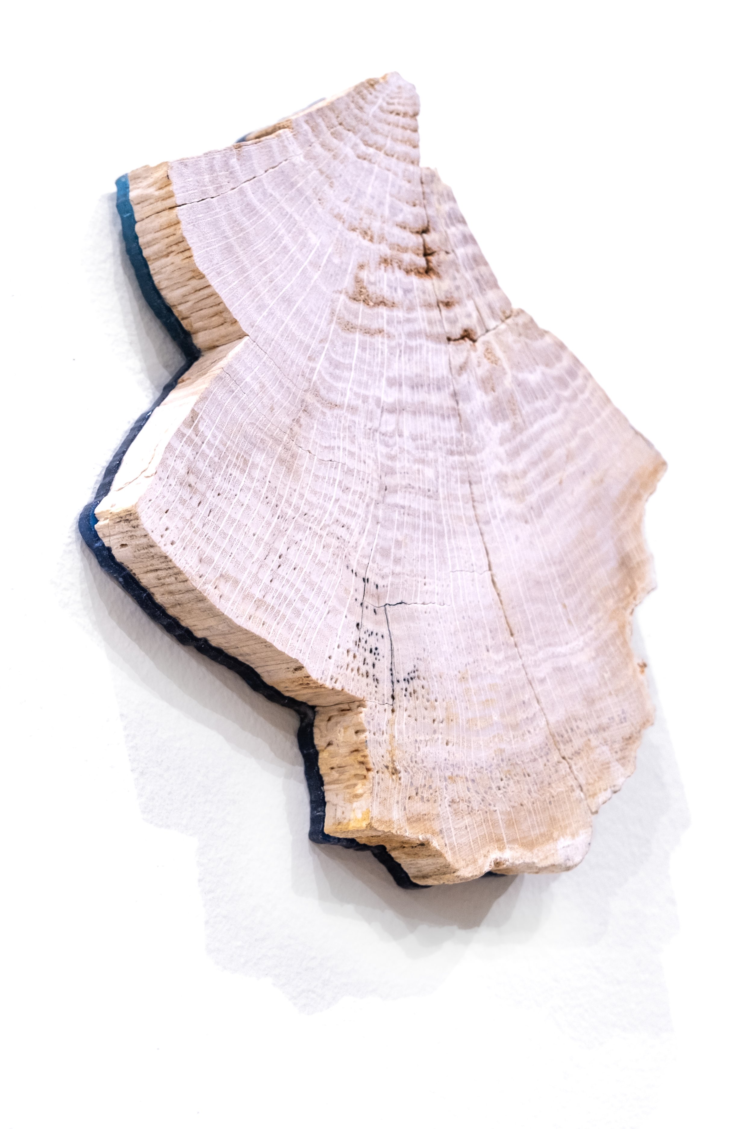 DSCF2167.jpg