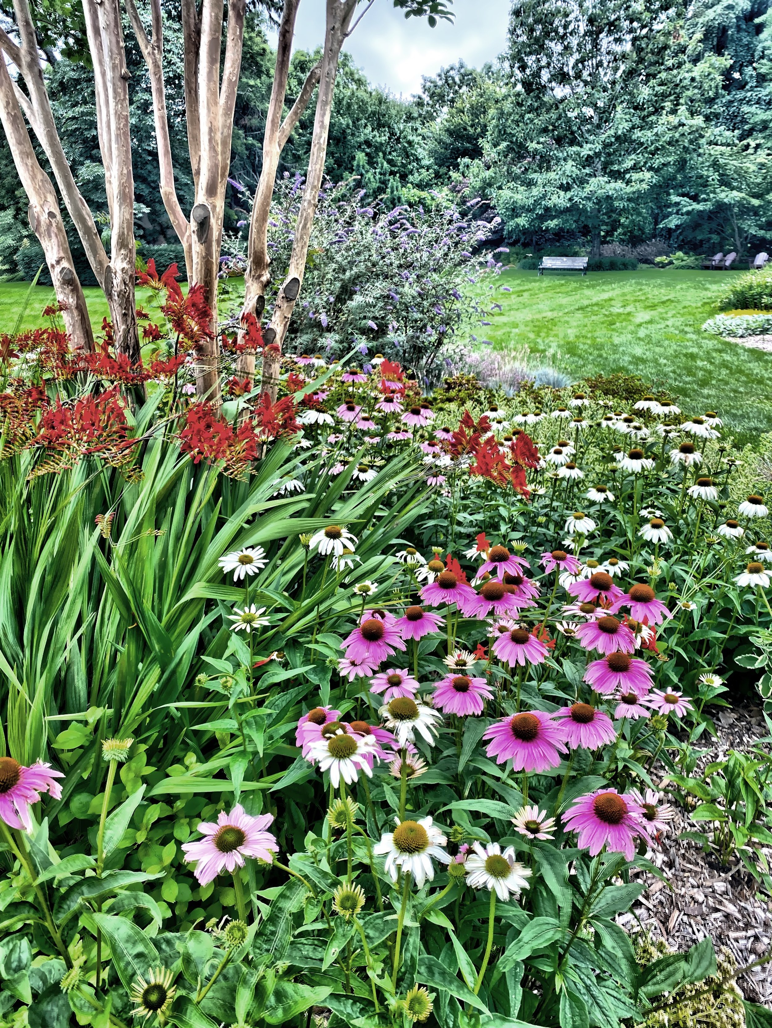  Gardens in bloom 