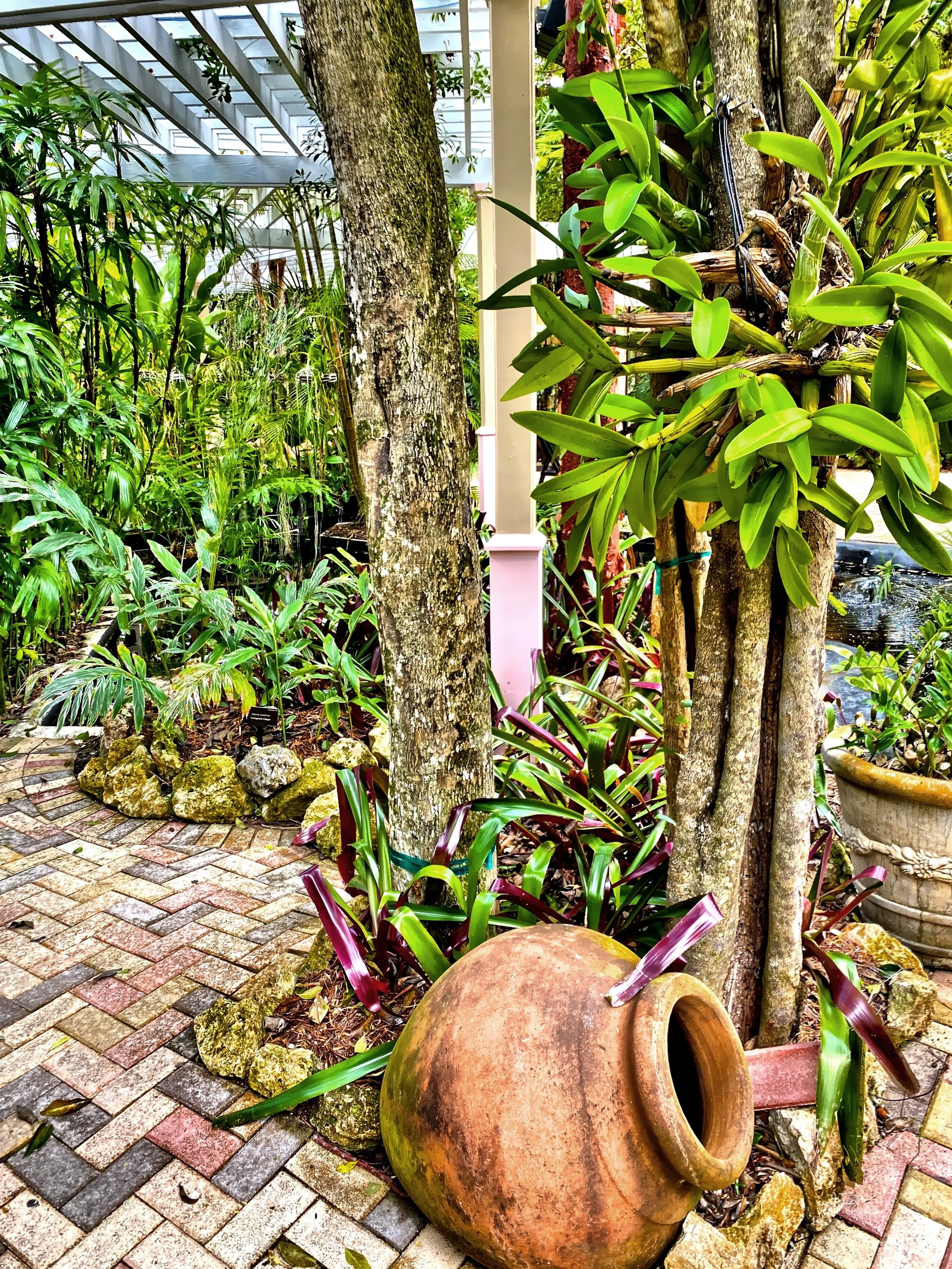  A shady spot in the Queen Elizabeth II Botanic Park, presents a unique blend of natural beauty, culture and history. 
