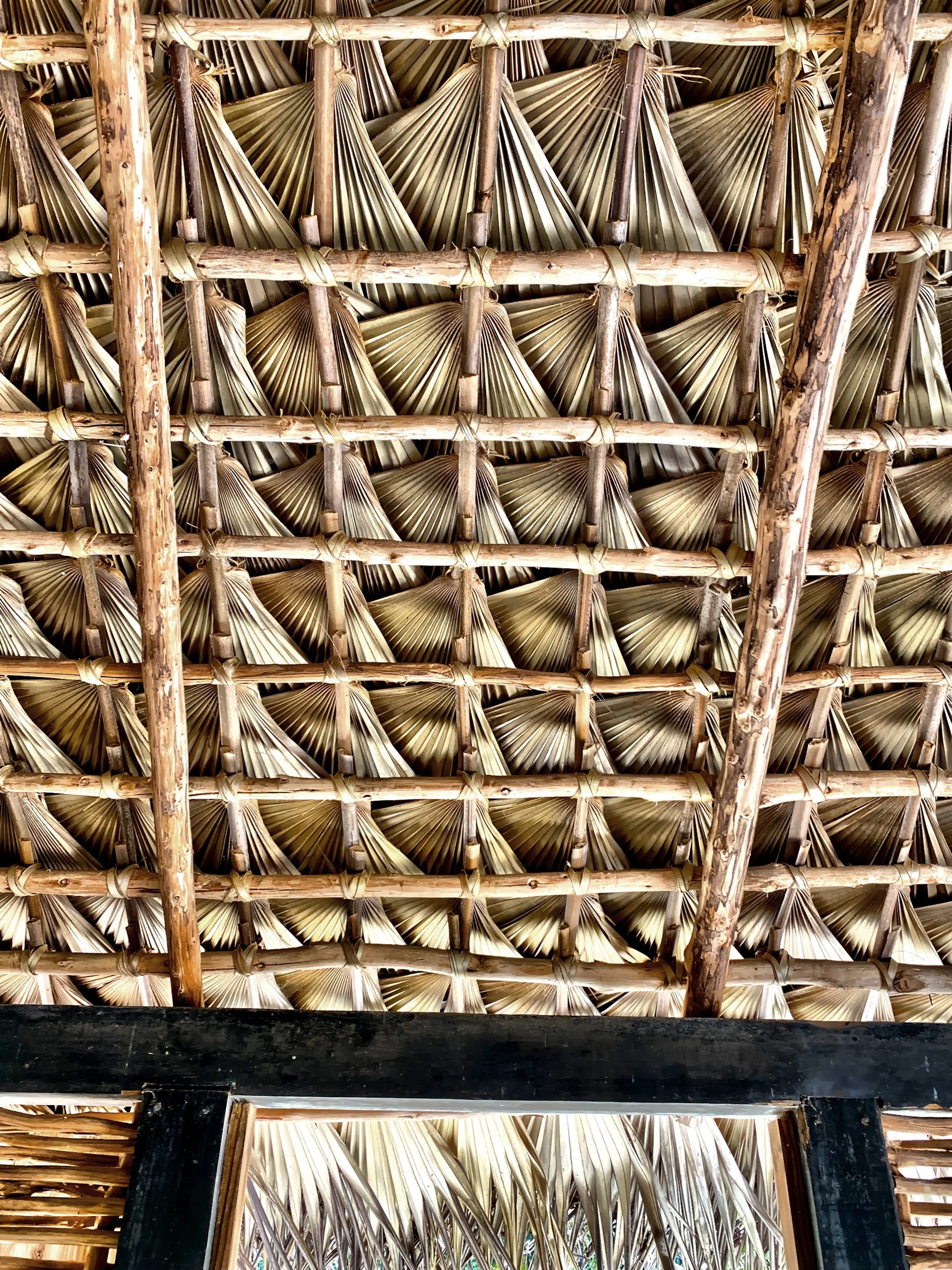  The intricate palm pattern in the thatched roof of the kitchen building in the Queen Elizabeth II Botanic Park 