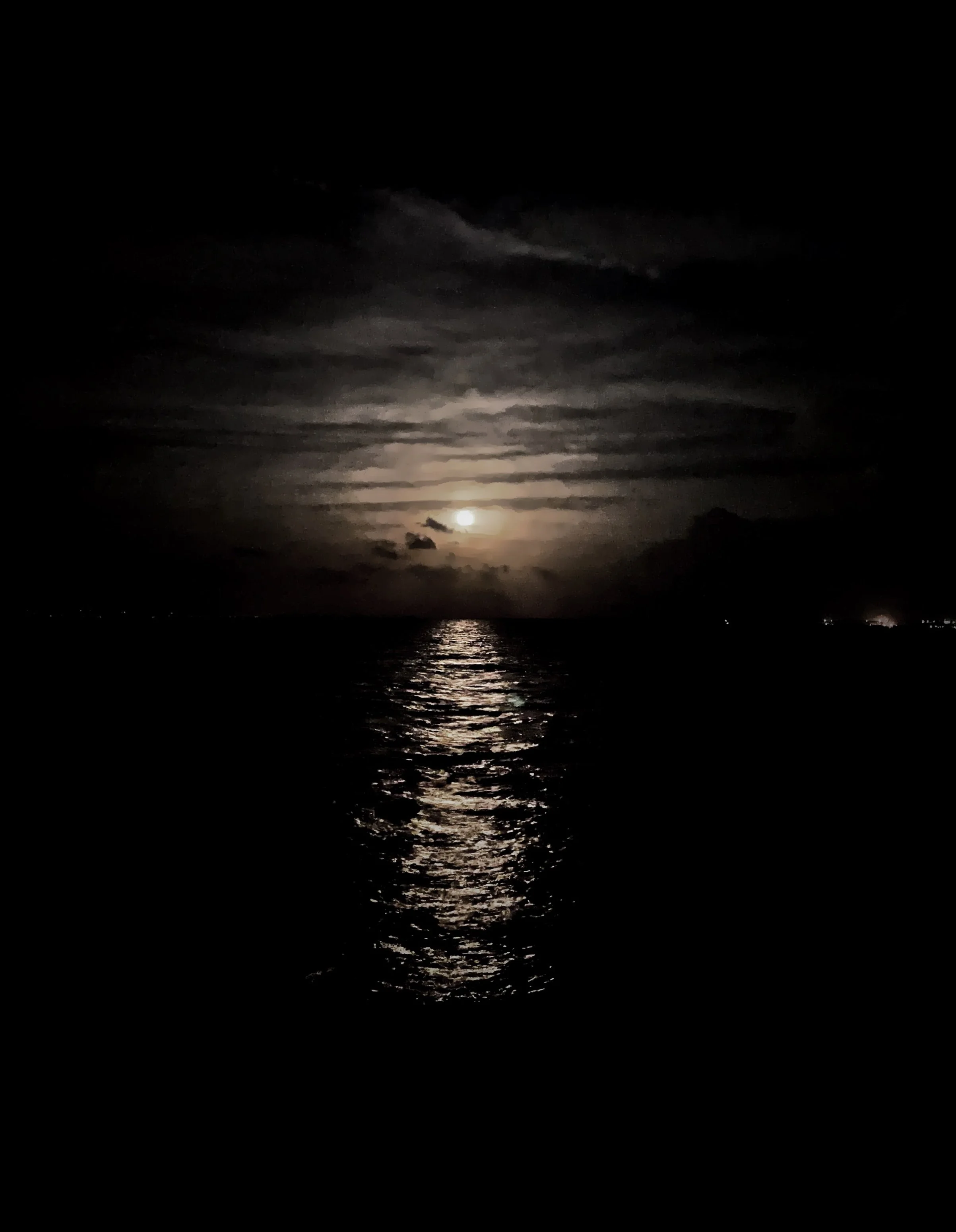  Night moon 