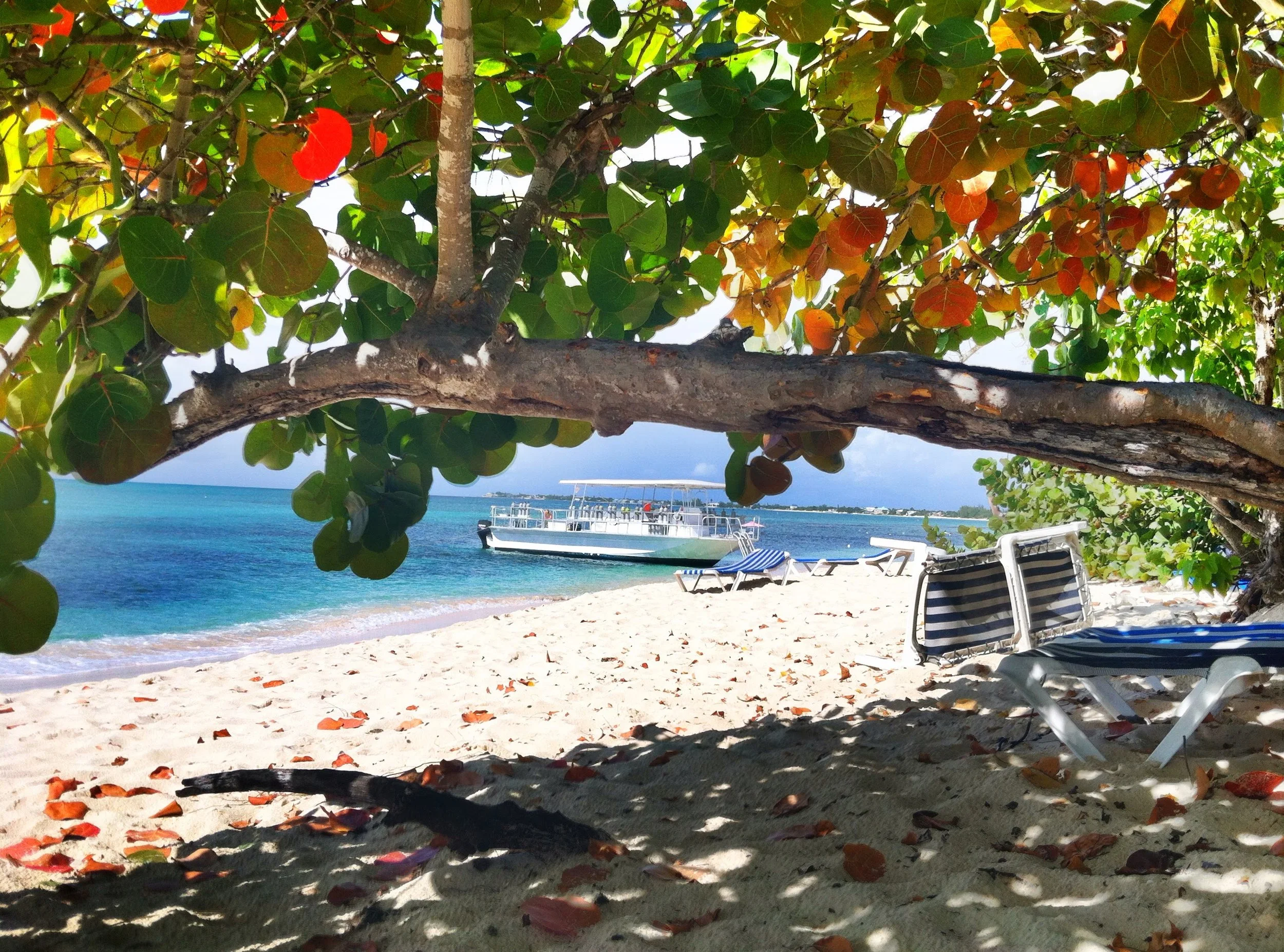  Governor’s Beach 